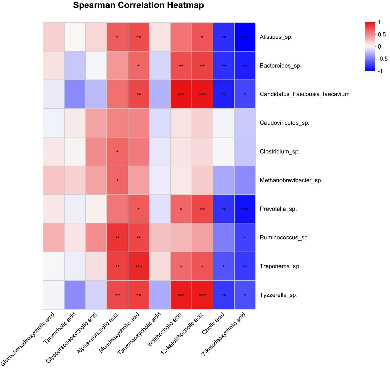 Spearman correlation heatmap displaying relationships between various microbial species (e.g., Alistipes_sp., Bacteroides_sp.) and bile acids (e.g., Glycochenodeoxycholic acid, Taurocholic acid). Positive correlations are shown in red, while negative correlations are in blue, with intensity indicating strength. Significant correlations are marked with asterisks.
