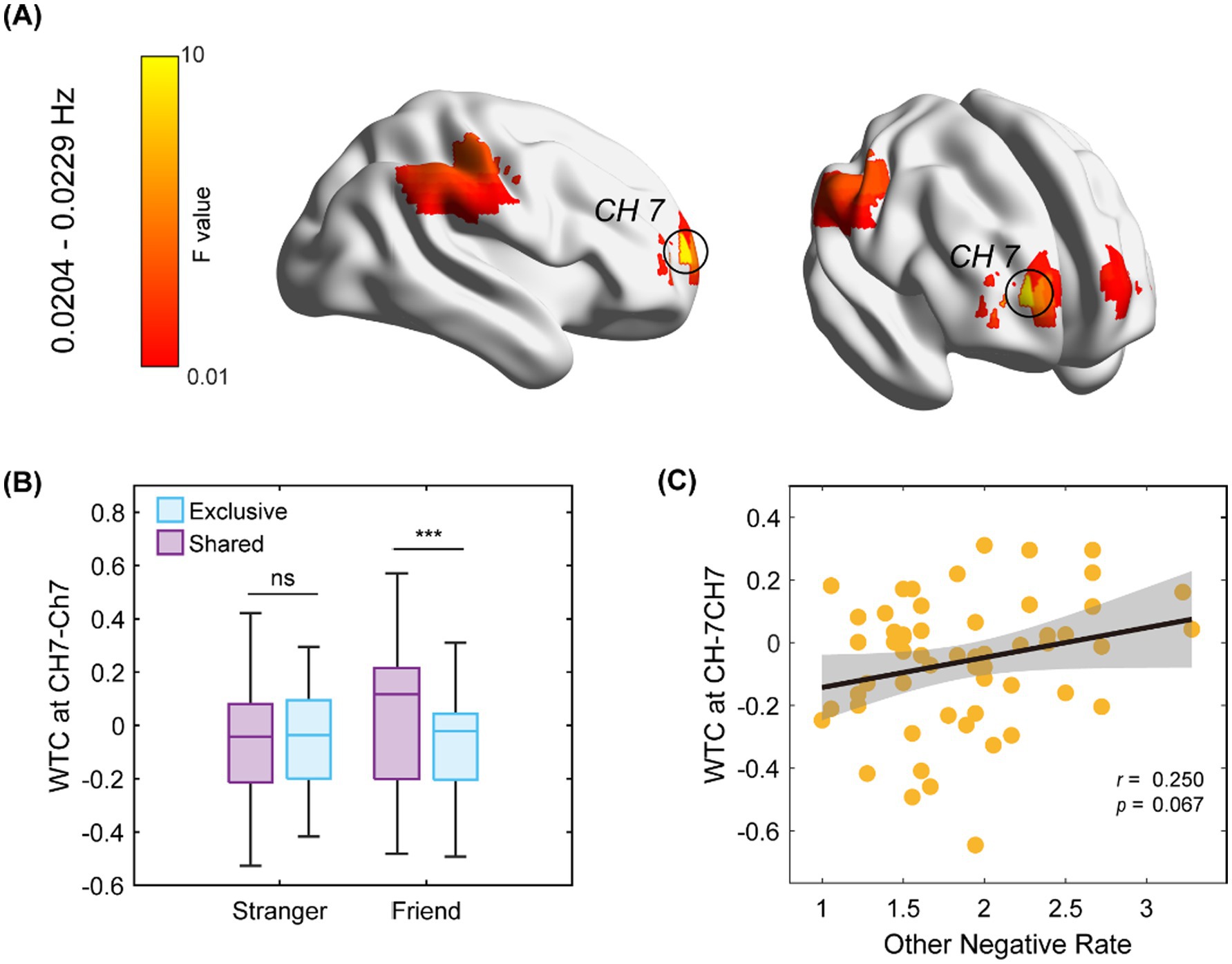 (A) Brain model highlighting regions with high F values in orange to red, focused around Channel 7. (B) Box plot comparing WTC at CH7-CH7 for 'Stranger' and 'Friend' categories, indicating significant difference for 'Friend'. (C) Scatter plot showing a positive correlation between WTC at CH7-CH7 and 'Other Negative Rate', with r = 0.250 and p = 0.067.