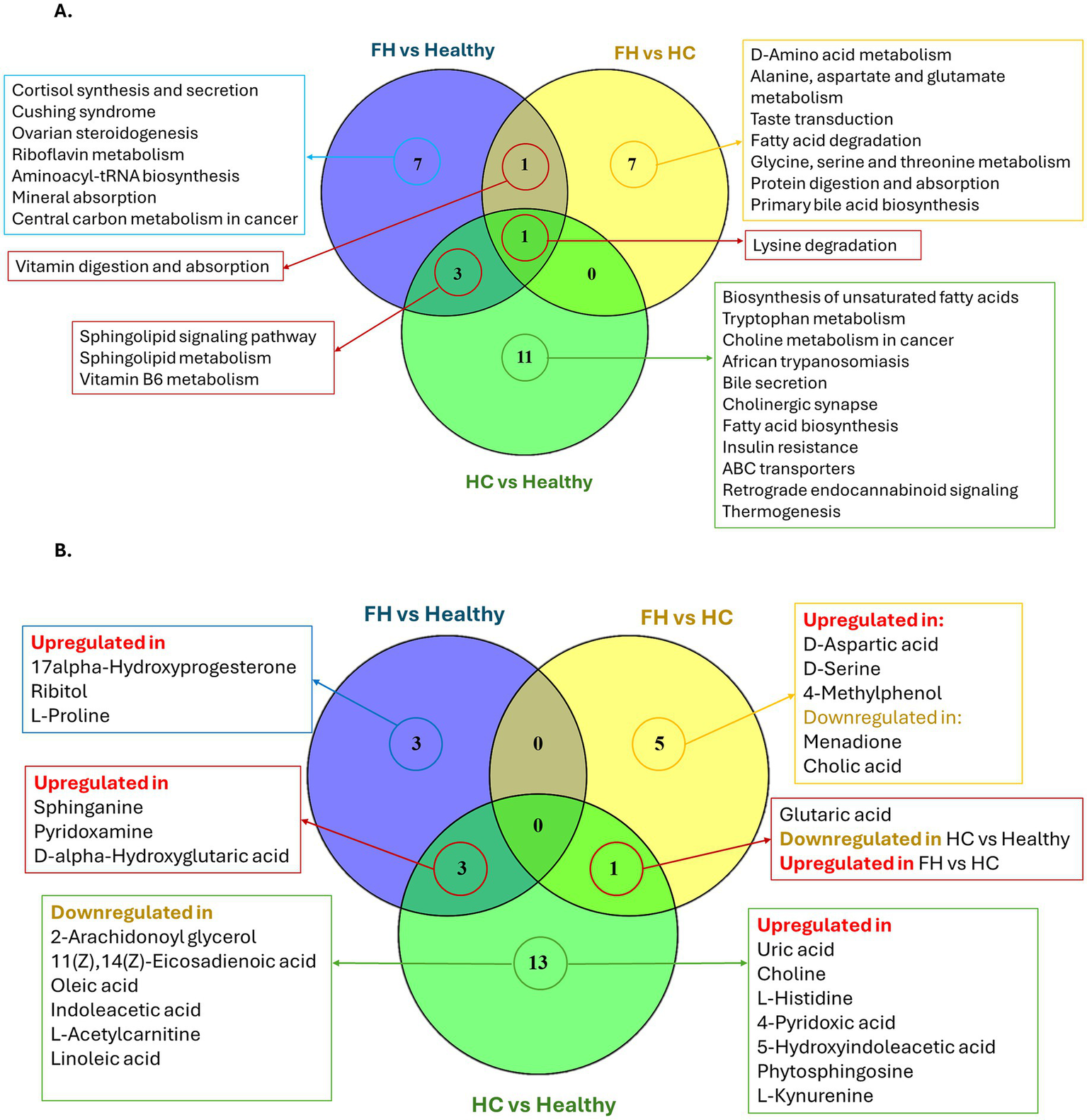Venn diagrams comparing functional pathways and metabolites across three groups: FH vs Healthy, FH vs HC, and HC vs Healthy. In diagram A, highlighted pathways include cortisol synthesis and vitamin digestion. In diagram B, metabolites such as 17alpha-Hydroxyprogesterone and Uric acid are noted for being upregulated or downregulated in various comparisons. Each circle represents a specific group comparison, with overlapping areas indicating shared features.