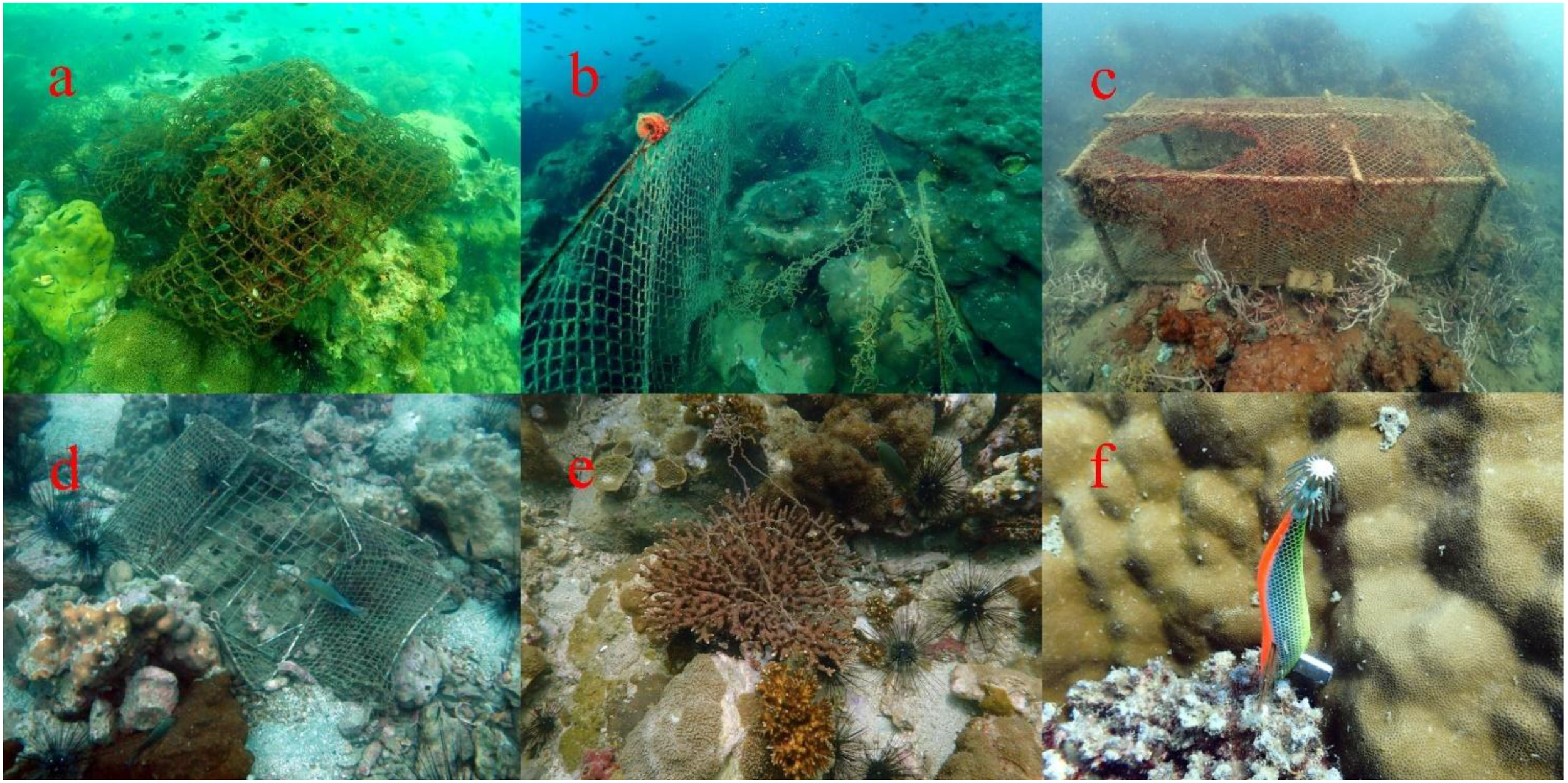 Underwater photographs consisting of six panels labeled a to f. Panel a shows a rusted trawl net covering on corals. Panel b features a gill net entangled with coral. Panel c displays another deteriorated fish trap on the coral colonies. Panel d shows a metal crab trap amid coral colonies. Panel e captures coral and sea urchins are entangled with fishing lines. Panel f highlights a squid fishing hook on a coral surface.