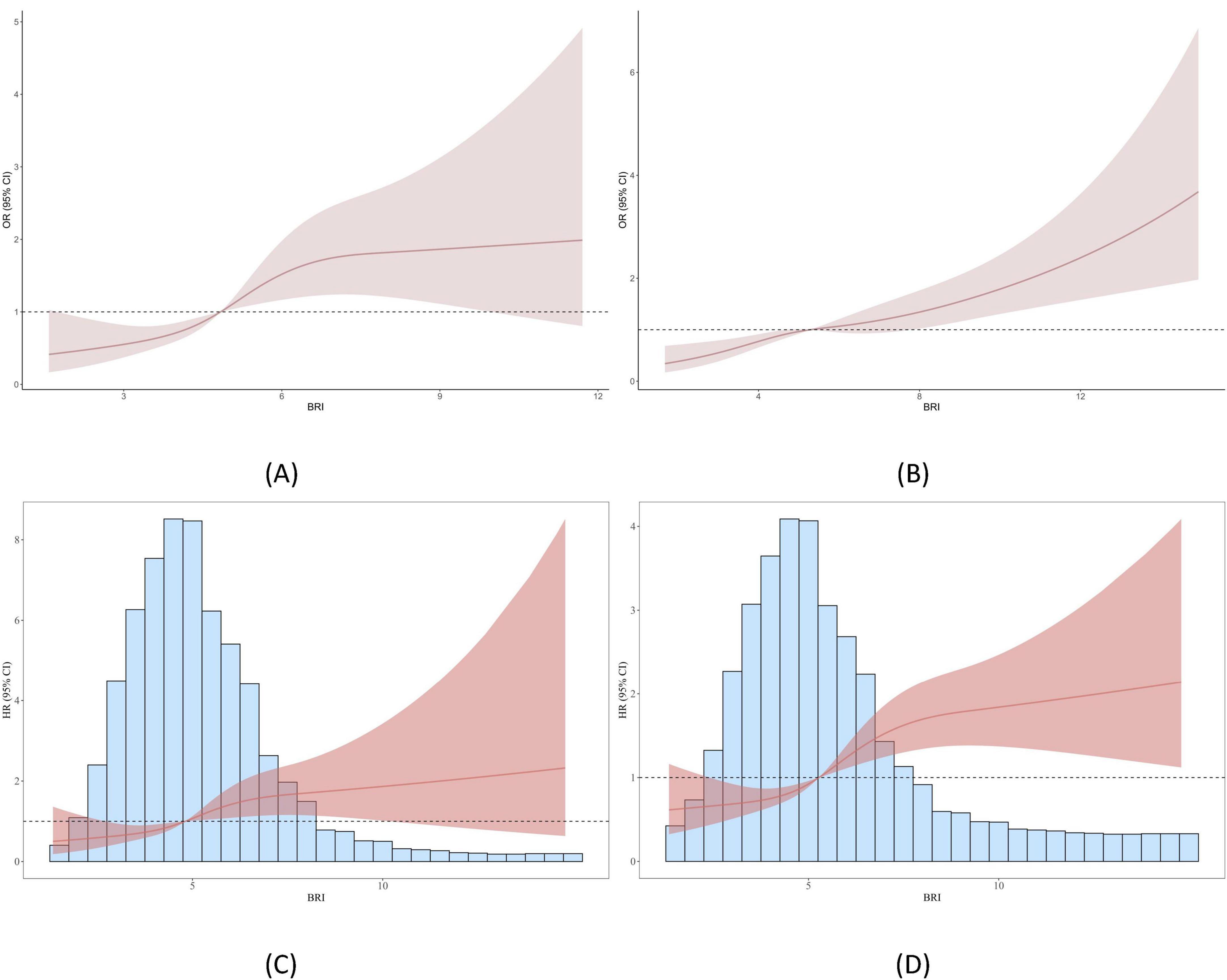 Graphs depicting relationships between BRI and risk metrics. (A) and (B) show line graphs with a rising trend in odds ratios (OR) with increasing BRI, shaded for confidence intervals. (C) and (D) display histograms with overlaid line graphs illustrating hazard ratios (HR) linked to BRI, also with confidence intervals.