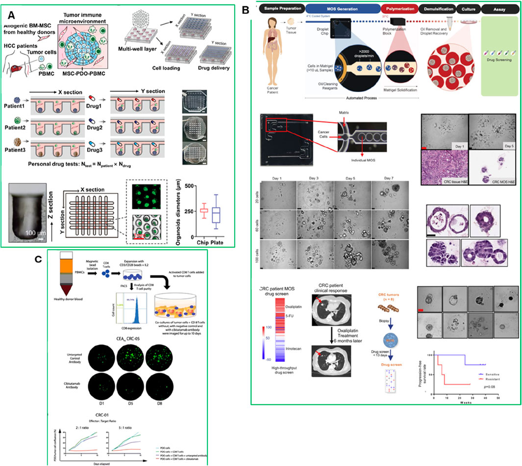 Illustration divided into sections A, B, and C. Section A details a multi-well chip for tumor immune microenvironment analysis and personal drug testing using MSC-PDO-PBMC. Section B illustrates the generation of MOS from cancer tissue for drug screening, showing processes from sample preparation to assay. Section C describes T cell activation from healthy donor blood for co-culture with CRC tumor cells, including flow cytometric analysis and drug response visualization. Graphs and images support each section’s scientific findings.