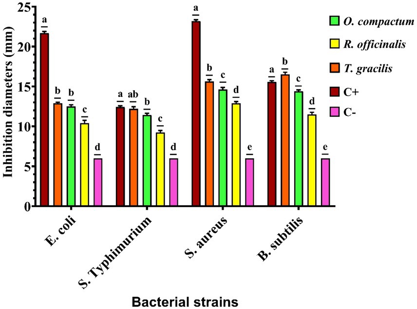 Bar chart showing inhibition diameters in millimeters of four bacterial strains: E. coli, S. Typhimurium, S. aureus, and B. subtilis. The chart compares six treatments: O. compactum, R. officinalis, T. gracilis, C+, and C-. Each treatment is color-coded. E. coli has the largest inhibition with C+ and the smallest with C-. Different letters above bars indicate statistical significance.