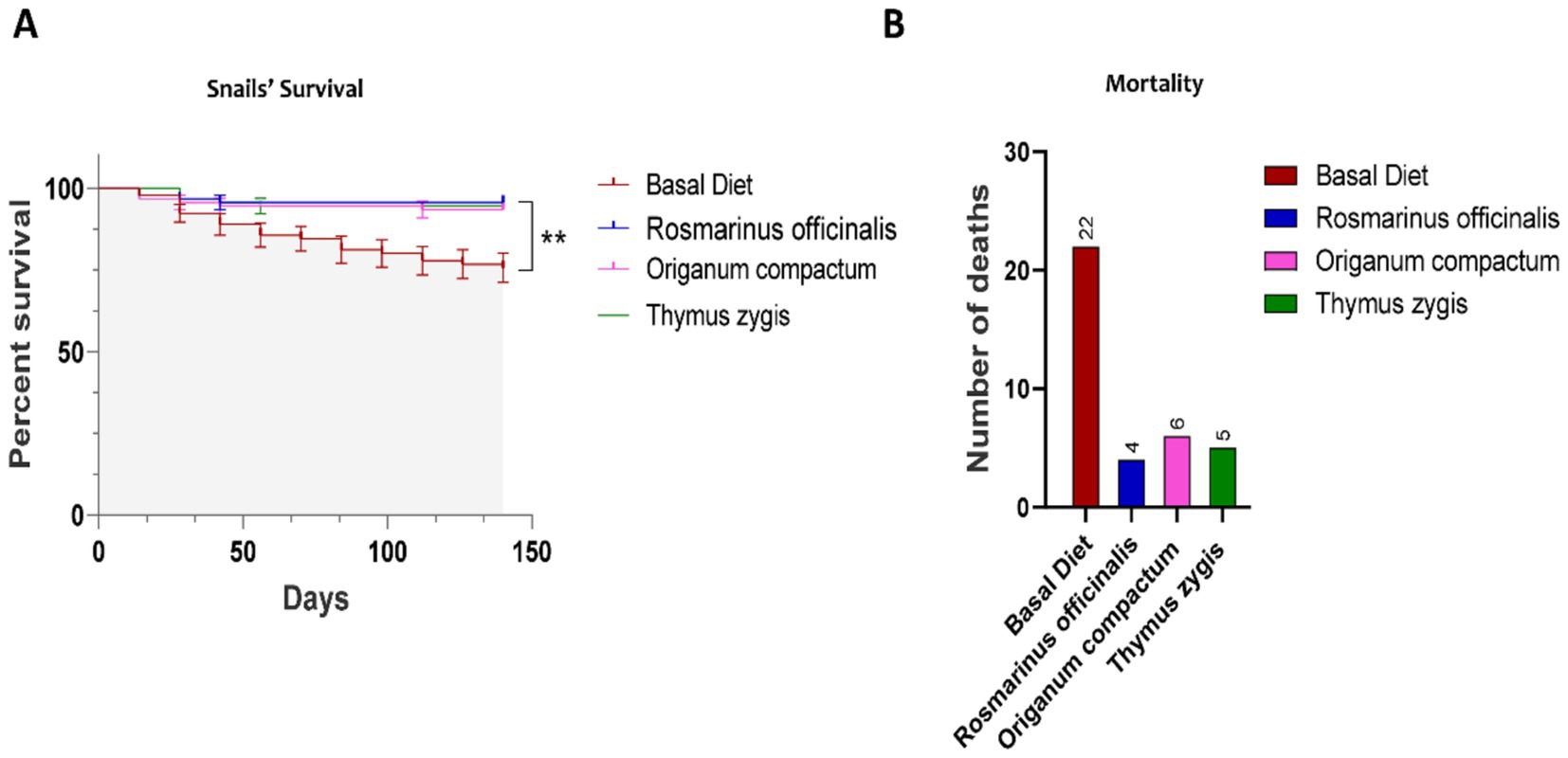 Chart A shows the survival rates of snails over 150 days with different diets. The basal diet results in lower survival compared to Rosmarinus officinalis, Origanum compactum, and Thymus zygis. Chart B depicts mortality numbers, with the basal diet leading to 22 deaths, while the other diets result in significantly fewer deaths (4 to 6).