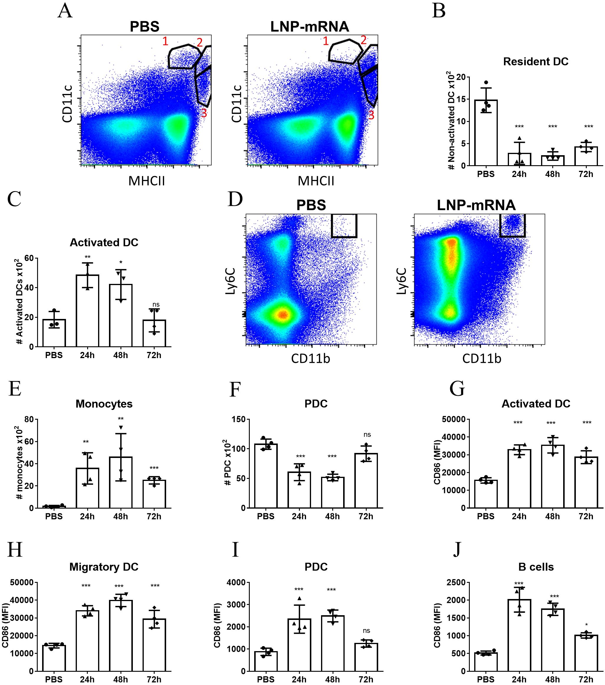 Flow cytometry plots and bar graphs analyze immune cell responses. Plot A compares CD11c and MHCII expression in PBS and LNP-mRNA groups. Plot D compares Ly6C and CD11b expression. Bar graphs B-J show data on resident DCs, activated DCs, monocytes, PDC, migratory DCs, and B cells, detailing changes over 24, 48, and 72 hours post-treatment with corresponding statistical significance.