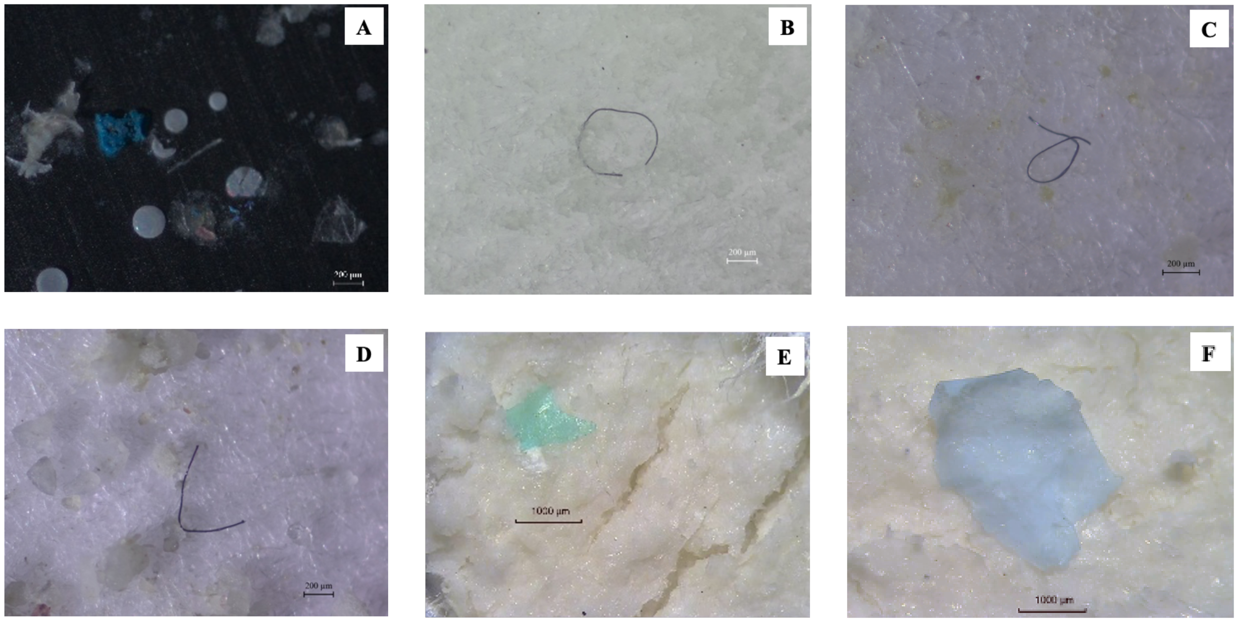 Panel A displays stacked bar graphs showing the proportion of microplastics in surface and inner tissue layers from three islands: Chan, Kong Sai Daeng, and Ao Jak, categorized by polymer types: PS, PP, PET, PE, Nylon, and Others. Panel B contains horizontal stacked bars comparing total microplastic proportions across these three islands. Panel C compares proportions of polymer types between surface and inner tissue layers.
