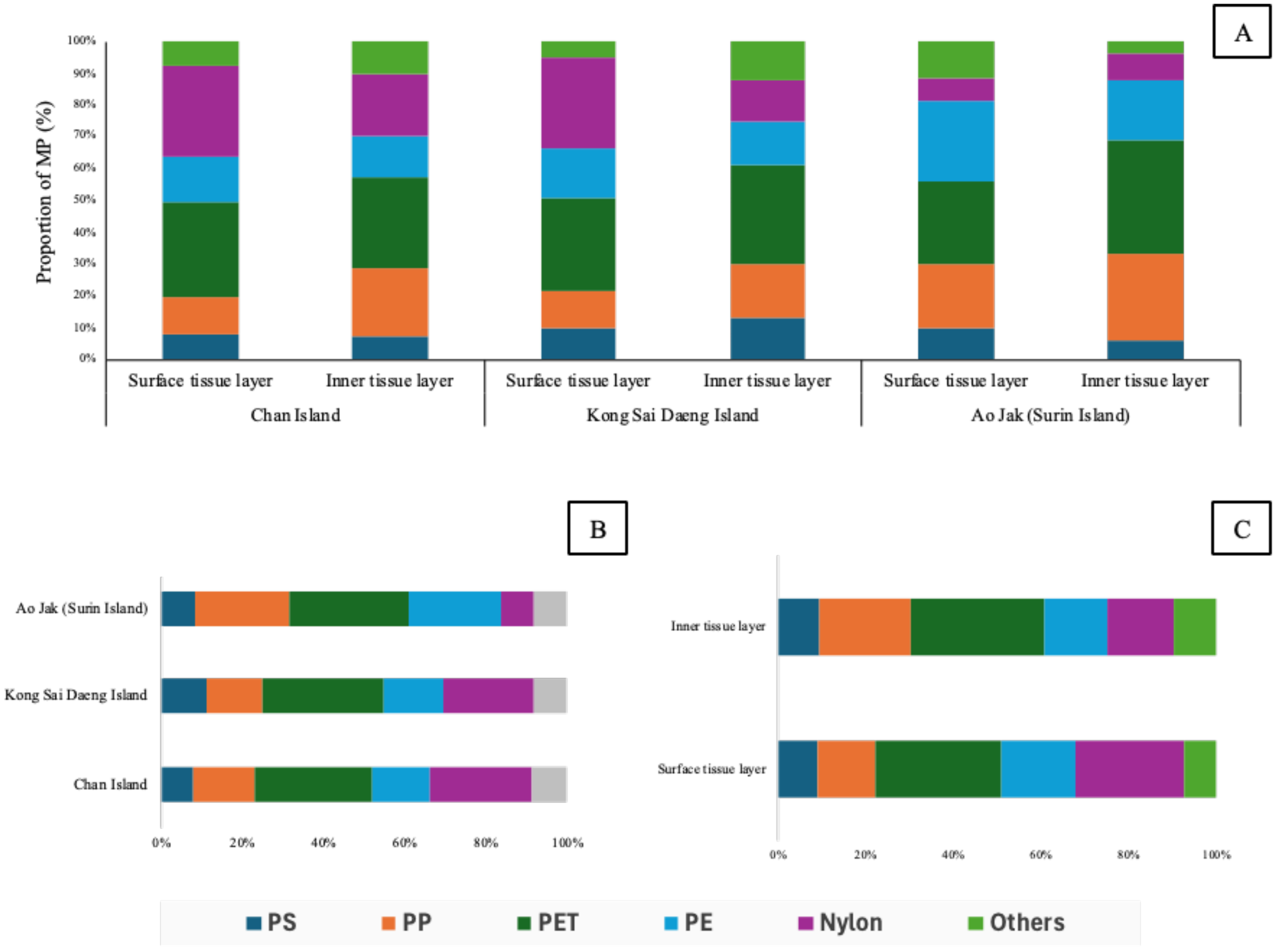 A set of six micrographs labeled A to F, showcasing different types of microplastics found on the surfaces and the inner tissue layer. A: White and blue fragments with spherical particles on a dark background. B, C, D: Black particles on a light surface, each with different orientations. E: A turquoise fragment on a white surface. F: White particles and an orange fragment on a dark background. Each image includes a scale bar, showing the microplastic sizes in micrometers.