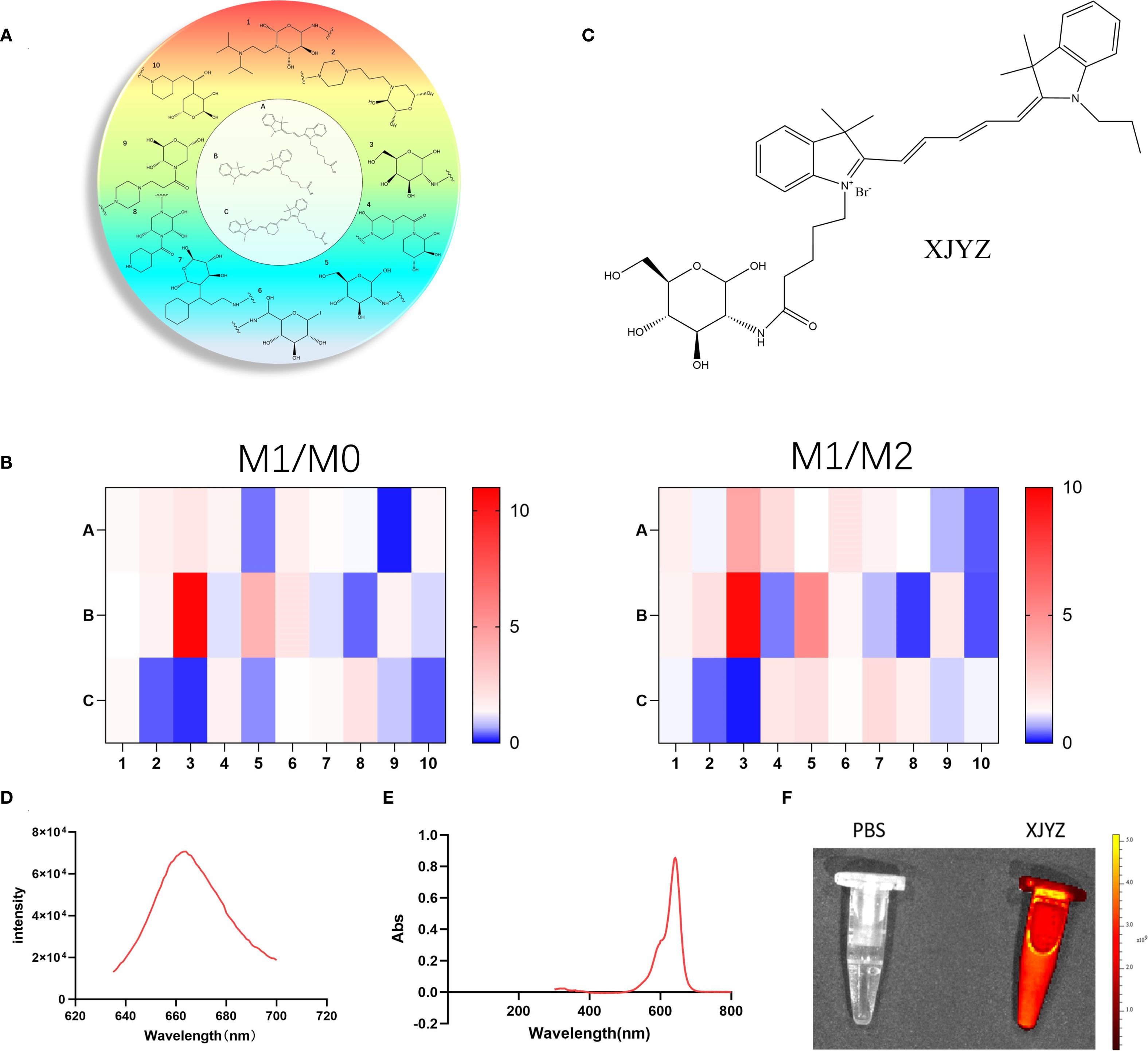 Diagram with multiple panels:  A) Circular gradient with molecular structures labeled 1-10.  B) Two heat maps labeled M1/M0 and M1/M2, with colored cells indicating values from 0 (blue) to 10 (red).  C) Chemical structure labeled XJYZ.  D) Line graph showing intensity versus wavelength (620-720 nm).  E) Absorbance graph over wavelength (200-800 nm).  F) Image of two tubes labeled PBS and XJYZ, the latter containing a red substance.