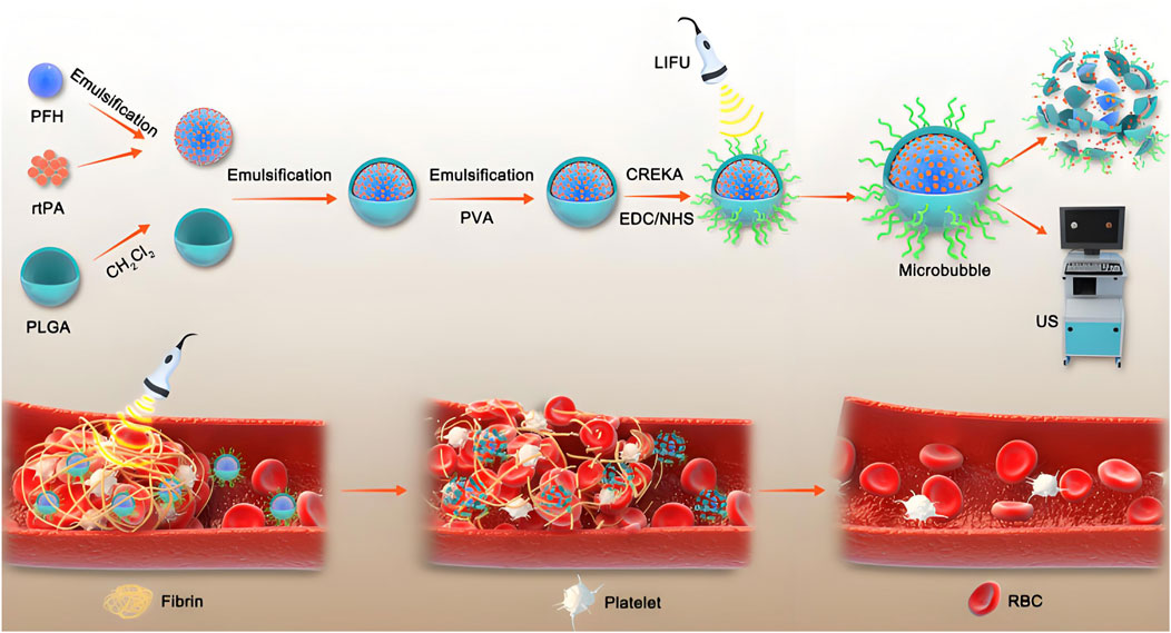 Diagram illustrating the creation and application of microbubbles for medical imaging. It shows the emulsification process using PFH and rtPA to form microbubbles, which are further combined with CREKA and EDC/NHS. The microbubbles are used in ultrasound (US) imaging and interact with fibrin, platelets, and red blood cells (RBC) in a blood vessel. LIFU is depicted enhancing the process.