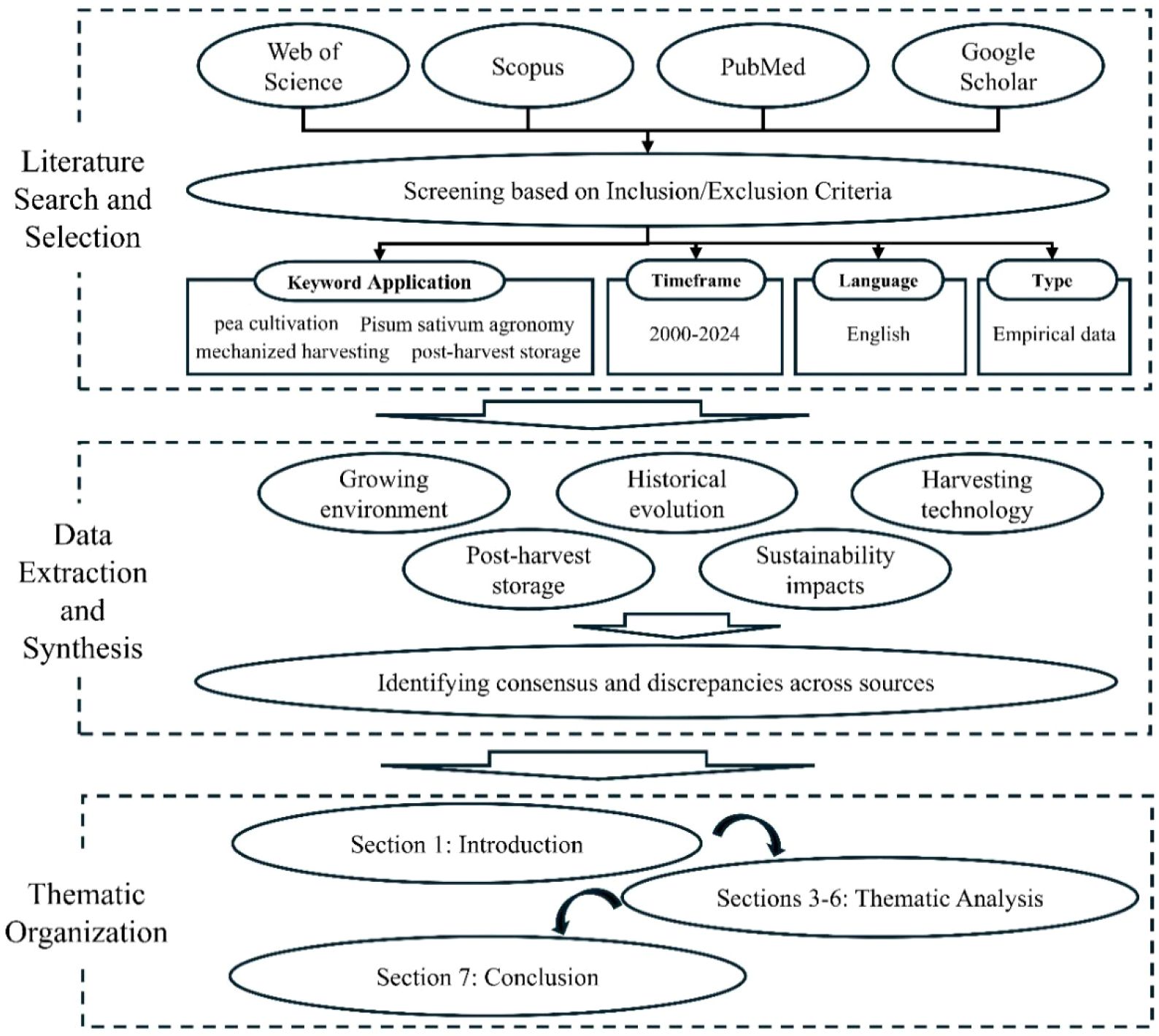 Flowchart detailing a research process. Literature Search and Selection involves Google Scholar, Scopus, PubMed, and Web of Science, filtered by keywords, timeframe (2000-2024), language (English), and type (empirical data). In Data Extraction and Synthesis, key topics include growing environment, historical evolution, harvesting technology, post-harvest storage, and sustainability impacts, with focus on identifying consensus and discrepancies. Thematic Organization outlines sections, beginning with introduction, thematic analysis (sections 3-6), and ending with conclusion.