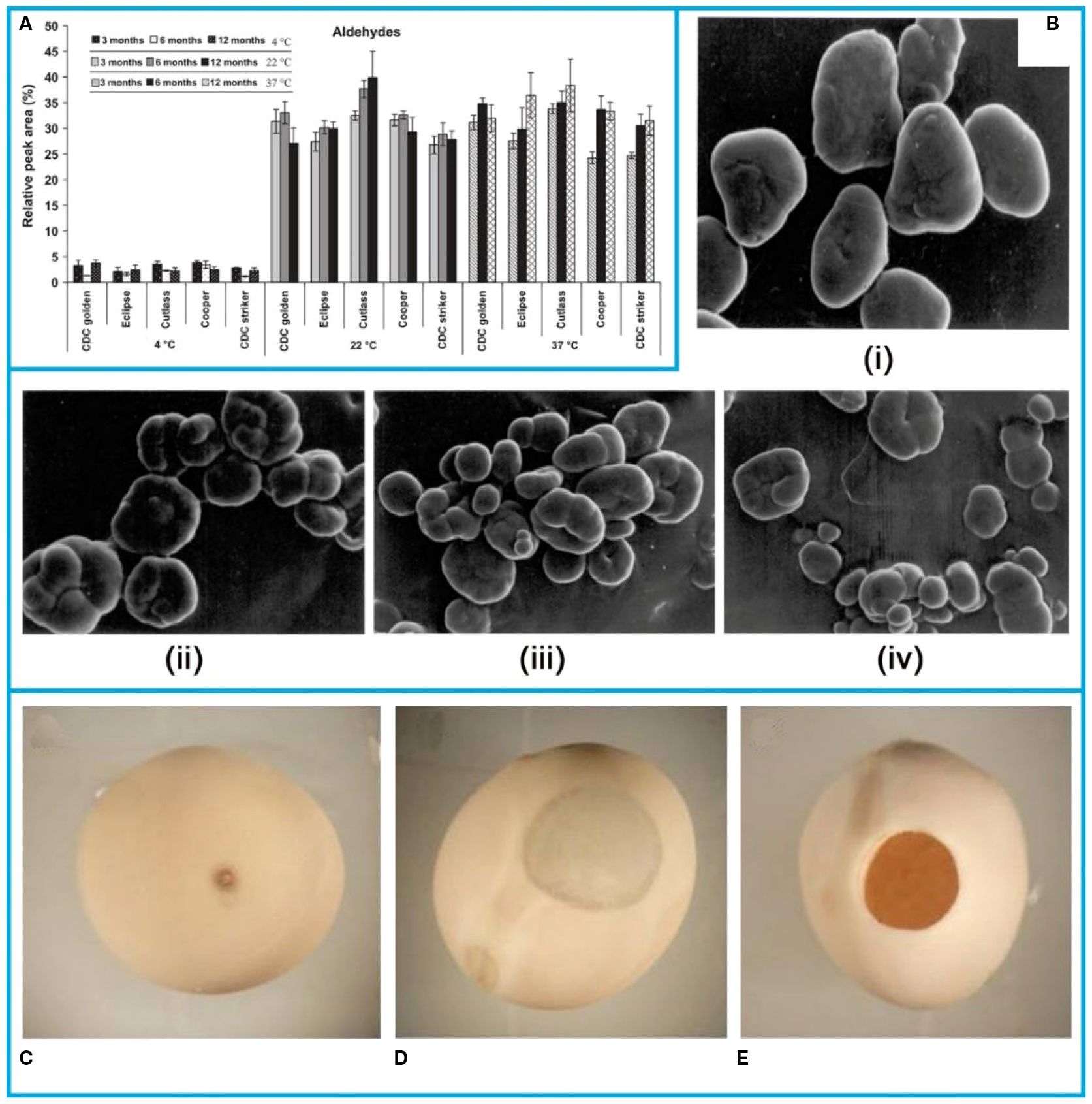 Chart and microscope images showing aldehyde levels and yeast cells at different temperatures. Panel A depicts a bar chart of aldehyde levels over time under various conditions. Panel B shows microscopic images of yeast cells; (i) normal, (ii) clustered, (iii) dense, and (iv) dispersed formations. Panels C, D, and E depict three images of circular bumpy surfaces with varying central discolorations.