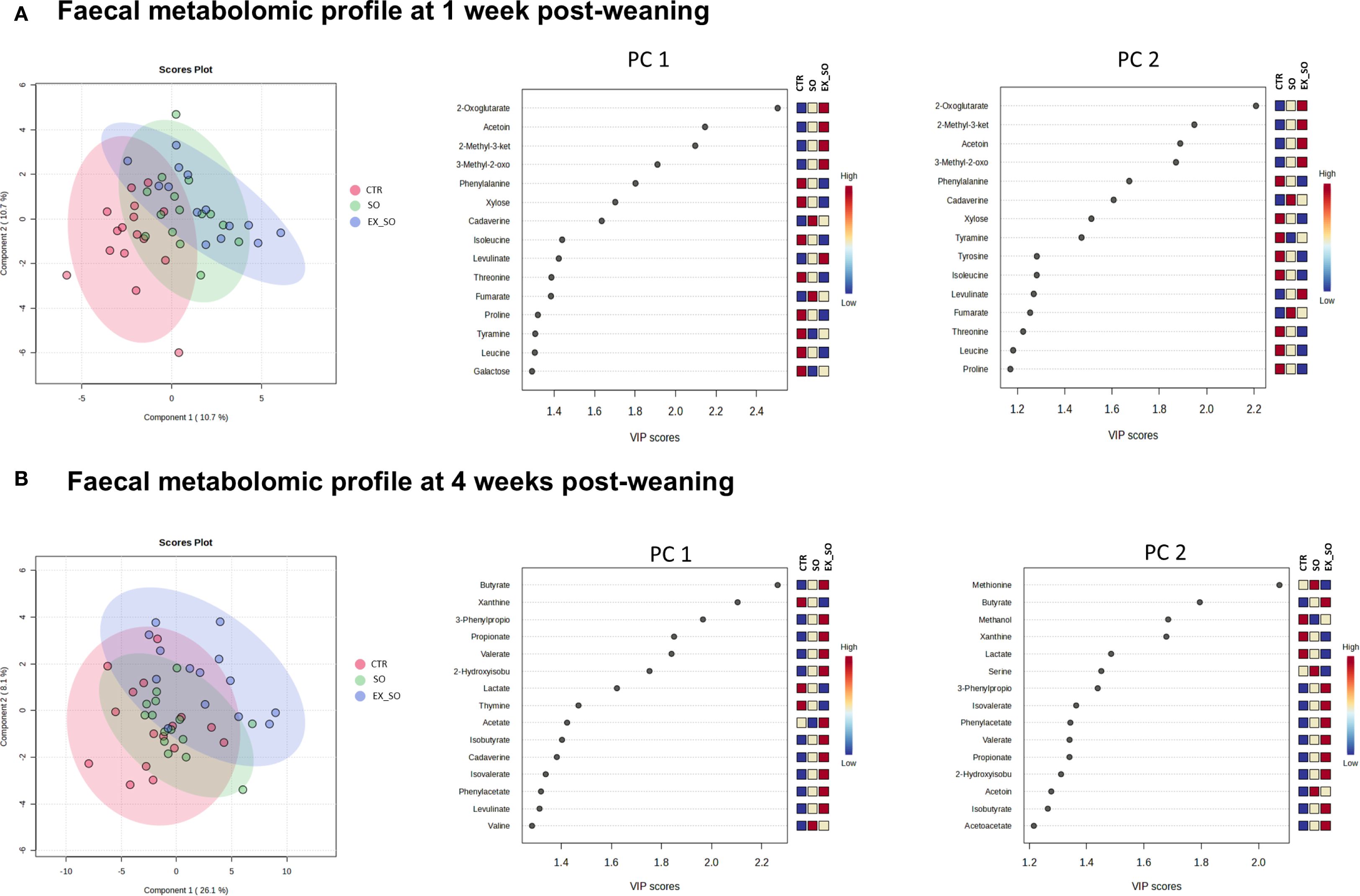 Faecal metabolomic profiles are shown in two panels, A and B, representing 1 week and 4 weeks post-weaning, respectively. Each panel includes a scores plot highlighting three groups: CTR (red), SO (green), and EX_SO (blue), with overlapping areas. The right side of each panel shows VIP scores for different metabolites under PCs 1 and 2, with rankings and color-coded intensity from high to low on a blue to red scale. Panel A lists metabolites such as 2-oxoglutarate and acetoin, while Panel B includes butyrate and xanthine.