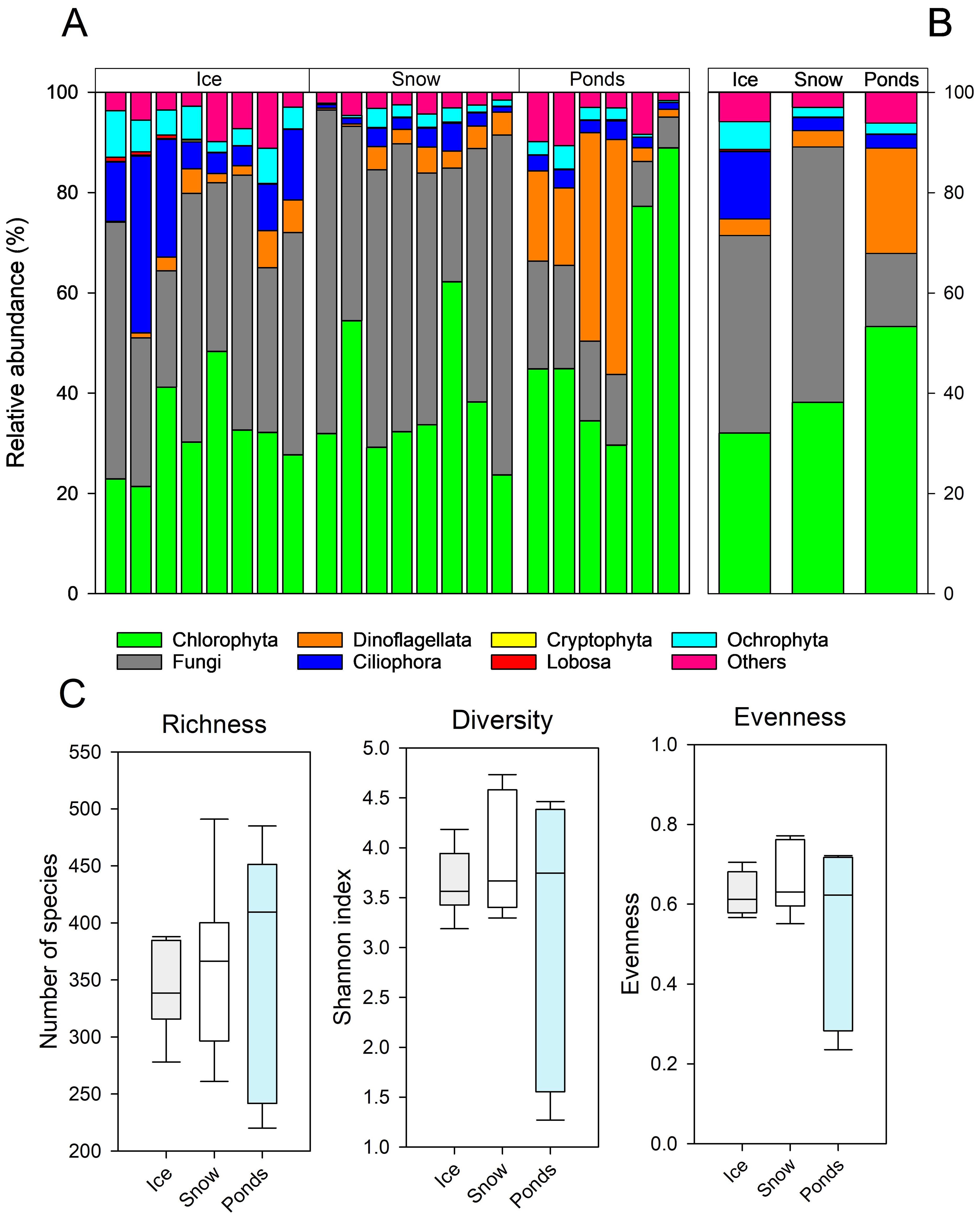 Three-part chart showing environmental data. Part A: Stacked bar charts show relative abundance of various taxa (e.g., Chlorophyta, Fungi) in ice, snow, ponds. Part B: Stacked bar comparison of environmental types. Part C: Box plots for richness, diversity, and evenness, comparing ice, snow, and ponds.