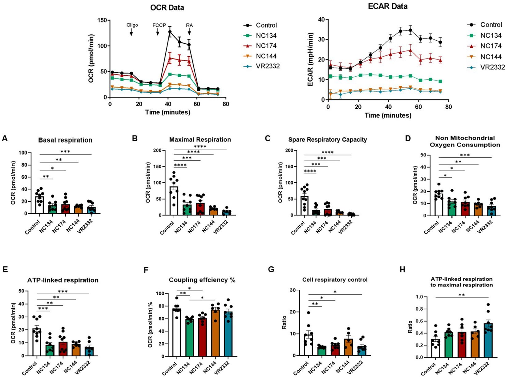 Graphs displaying OCR and ECAR data along with bar charts. The line graphs show OCR and ECAR measurements over time for control and various sample groups, labeled with markers such as FCCP. The bar charts labeled A to H compare different respiratory and metabolic parameters, such as basal and maximal respiration, across the control and sample groups, with statistical significance indicated.