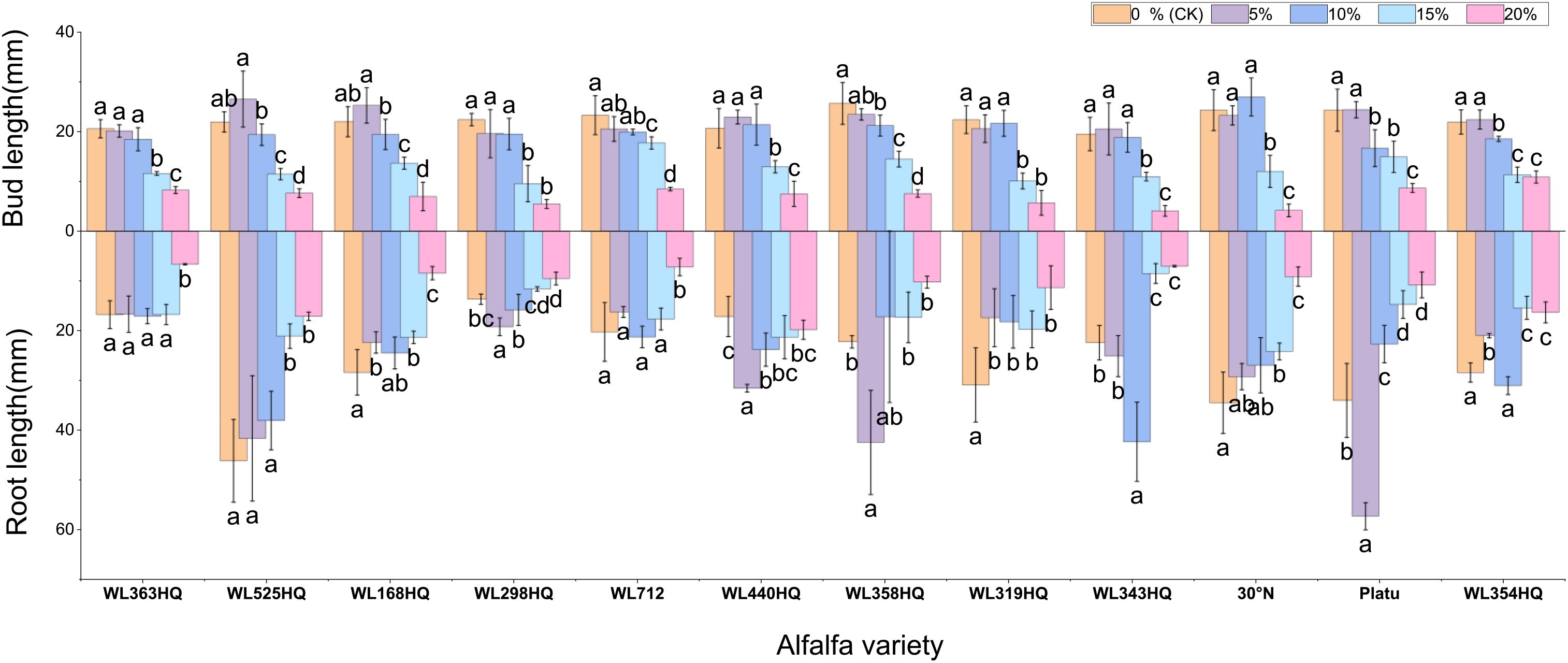 Bar chart showing bud and root lengths for various alfalfa varieties under different conditions. The x-axis lists alfalfa varieties, while the y-axis indicates bud and root lengths in millimeters. Bars are color-coded to represent different percentages, ranging from 0 percent to 20 percent. Error bars and letters denote statistical differences.