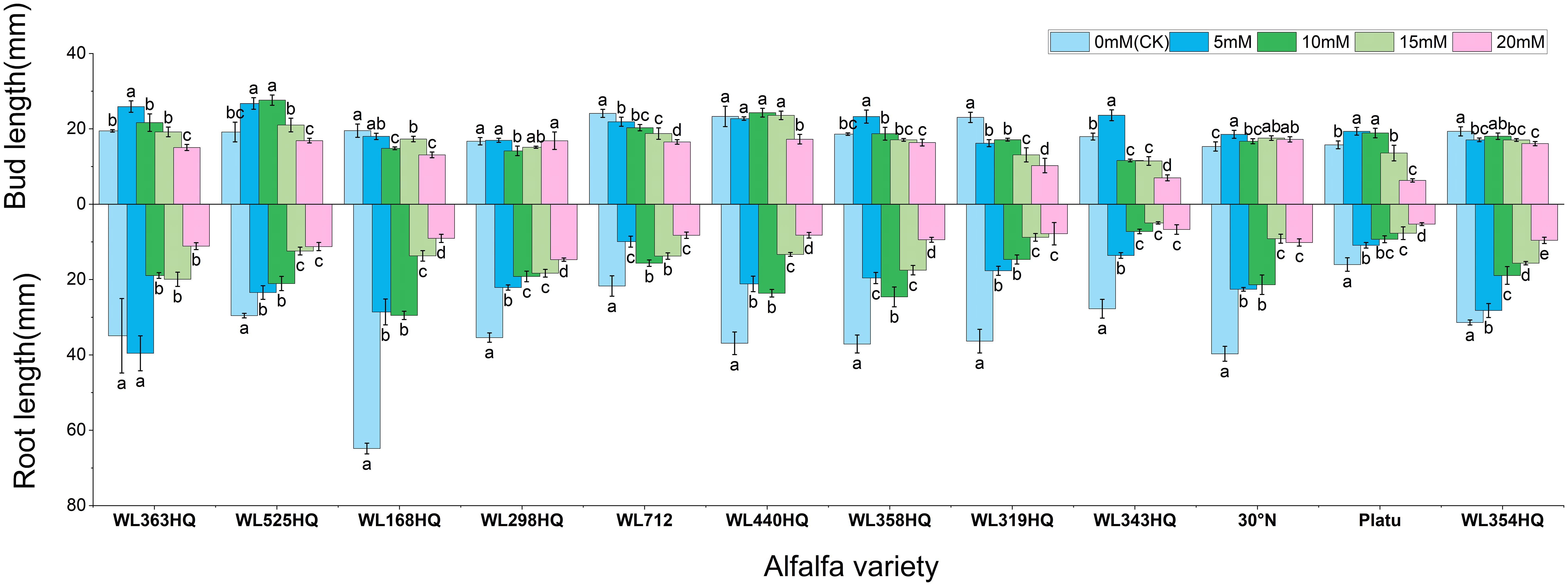 Bar chart comparing bud and root lengths of different alfalfa varieties under varying mM of treatment. The data shows variations in lengths with different concentrations: 0, 5, 10, 15, and 20 mM, indicated by different colors. Error bars indicate variability or uncertainty. Bud lengths are shown above the axis and root lengths below, with labels such as WL363HQ to WL354HQ along the x-axis. A key is included in the upper right corner.