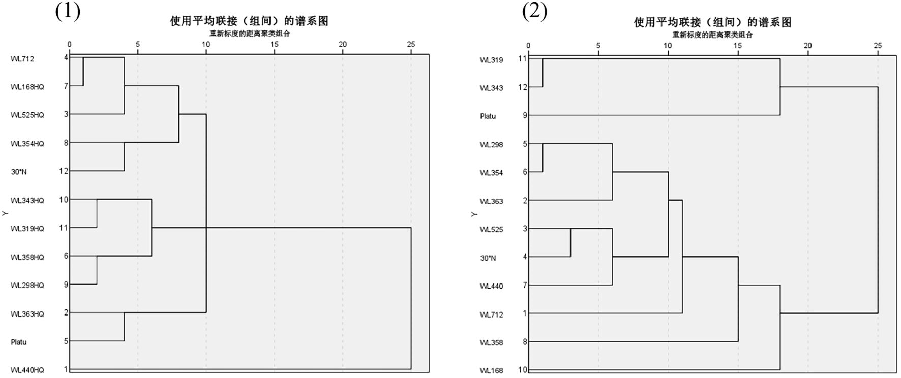 Two dendrograms are shown. Left: samples WL712 to Platu are grouped, with WL712 and WL166HQ closely related. Right: samples WL319 to WL168 are showcased, with WL319 and WL343 widely grouped together, indicating varying cluster patterns.