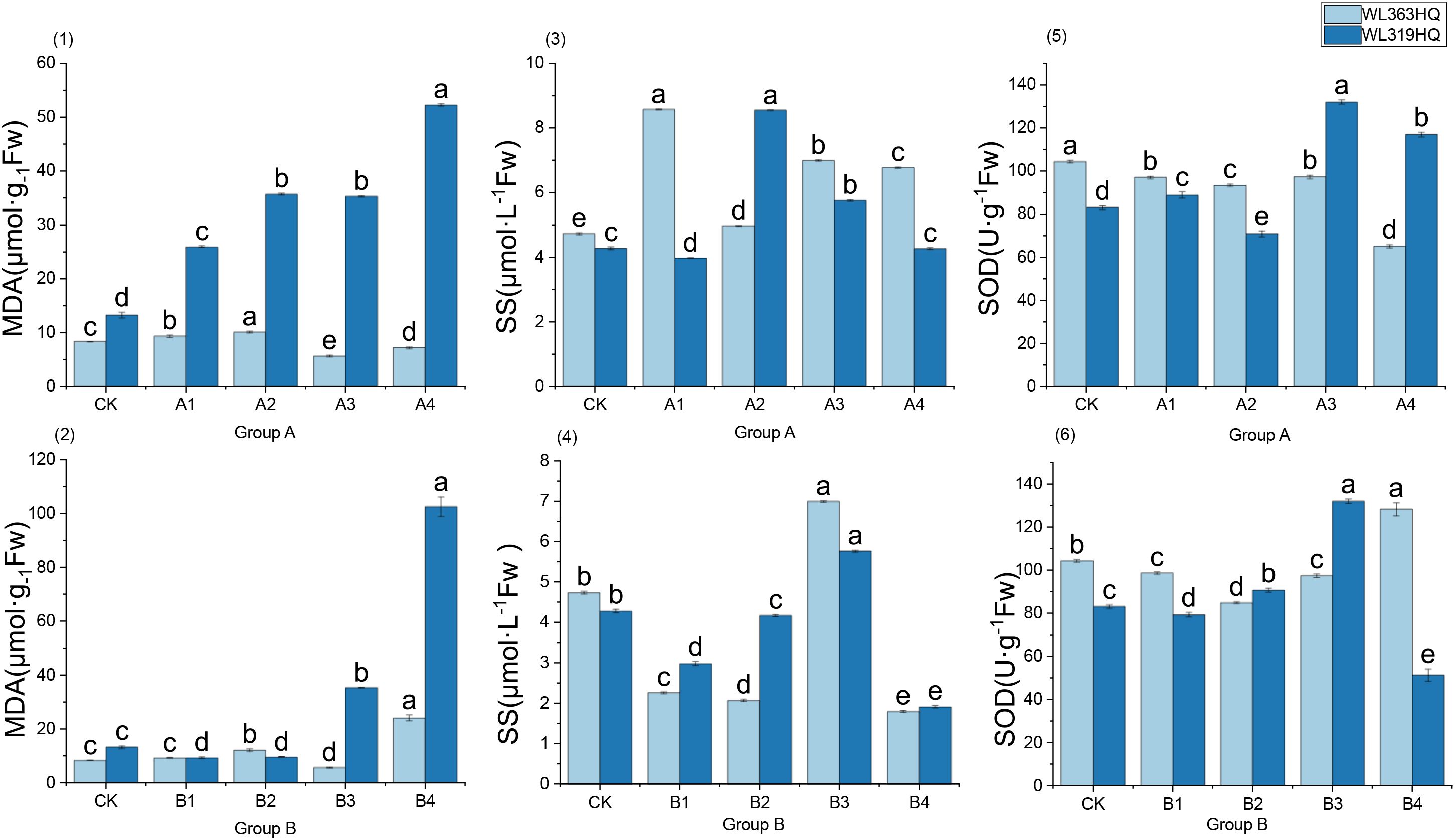 Six bar graphs compare two treatments, WL363HQ and WL319HQ, across Groups A and B. Each graph shows data for MDA, SS, and SOD levels. Bars are labeled with letters indicating statistical differences. Light and dark blue colors indicate different treatments. Error bars are present. Groups A and B have different sets of subcategories labeled CK, A1-A4, and B1-B4 respectively.