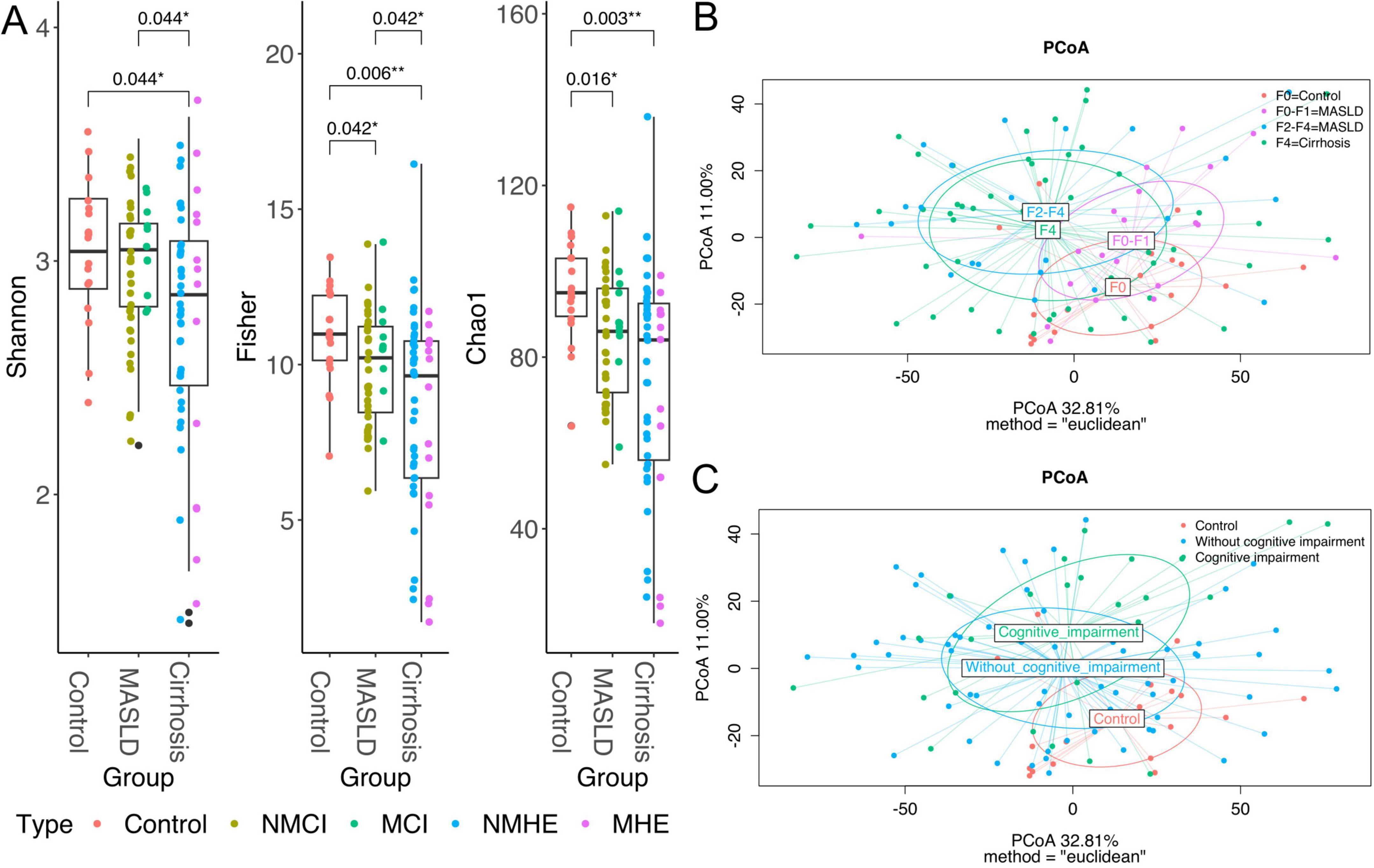 Figure A presents box plots comparing Shannon, Fisher, and Chao1 diversity indices across control, MASLD, and cirrhosis groups, highlighting statistically significant differences. Figures B and C are PCoA plots visualizing the Ë clustering of samples by liver disease progression (F0 to F4) in B, and cognitive impairment status in C, using euclidean distances. Each figure uses colored points and ellipses to represent different groups.