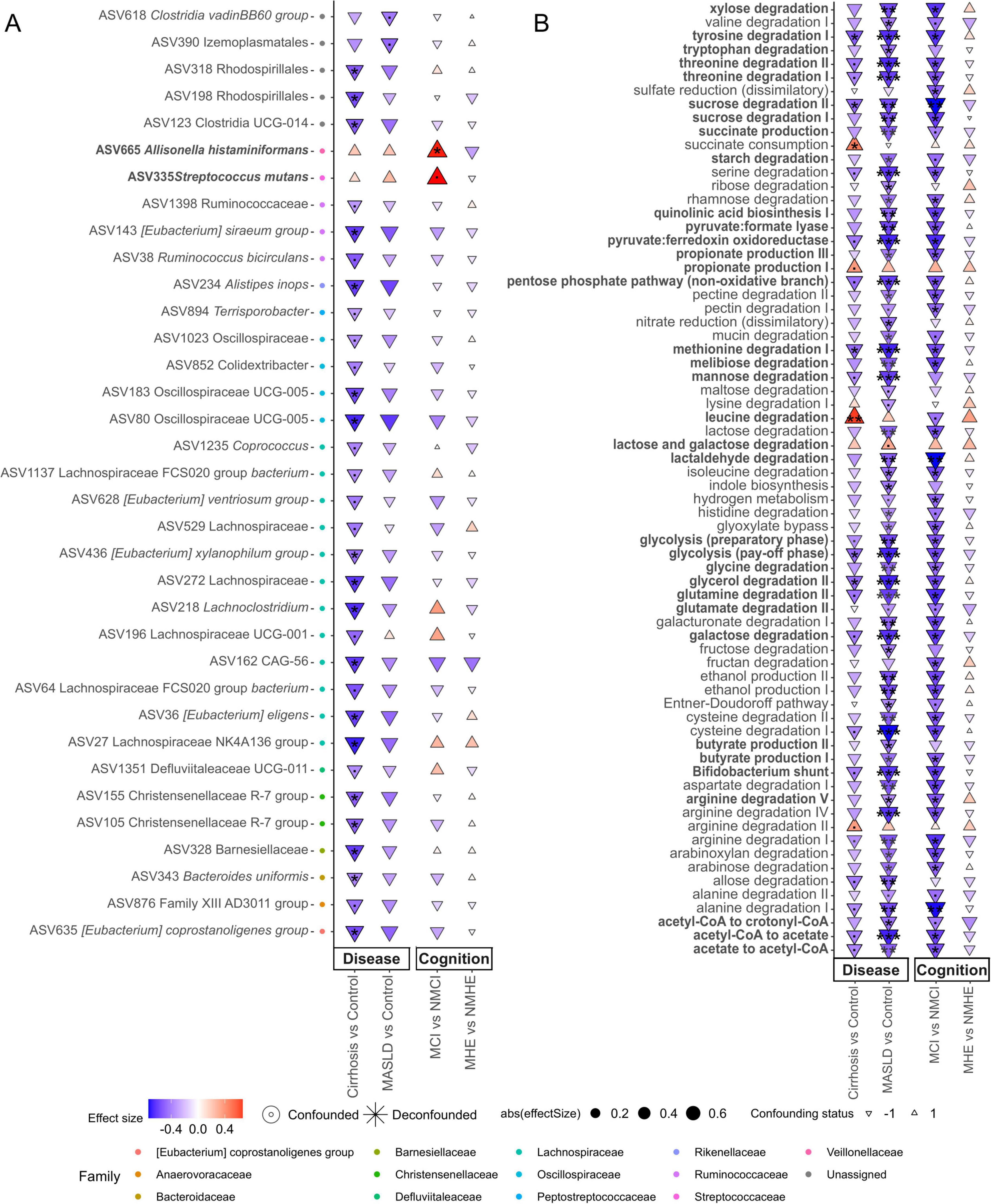 Heatmap-like plot comparing microbial features and metabolic pathways related to disease and cognition. Panel A shows microbial taxa, and Panel B shows metabolic pathways. Triangles indicate the effect size and direction, with colors representing the taxonomic family. The legend explains colors, symbols, and effect sizes, with red and blue showing the strength and direction of effects. Confounding status is noted, and family names are listed.