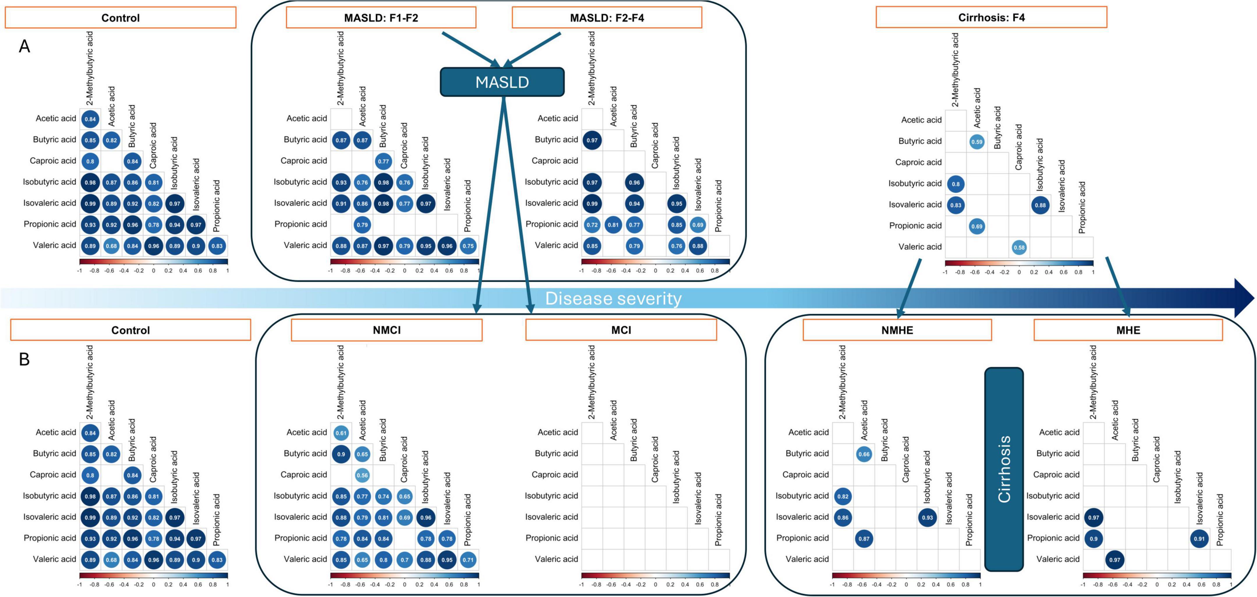 Chart comparing the levels of various acids in different disease severities. Panel A shows control, MASLD F1-F2, MASLD F2-F4, and cirrhosis F4. Panel B shows control, NMCI, MCI, NMHE, and MHE. Each sub-chart displays correlations between different acids, highlighted by blue circles whose sizes represent correlation strength. An arrow below indicates increasing disease severity from left to right.