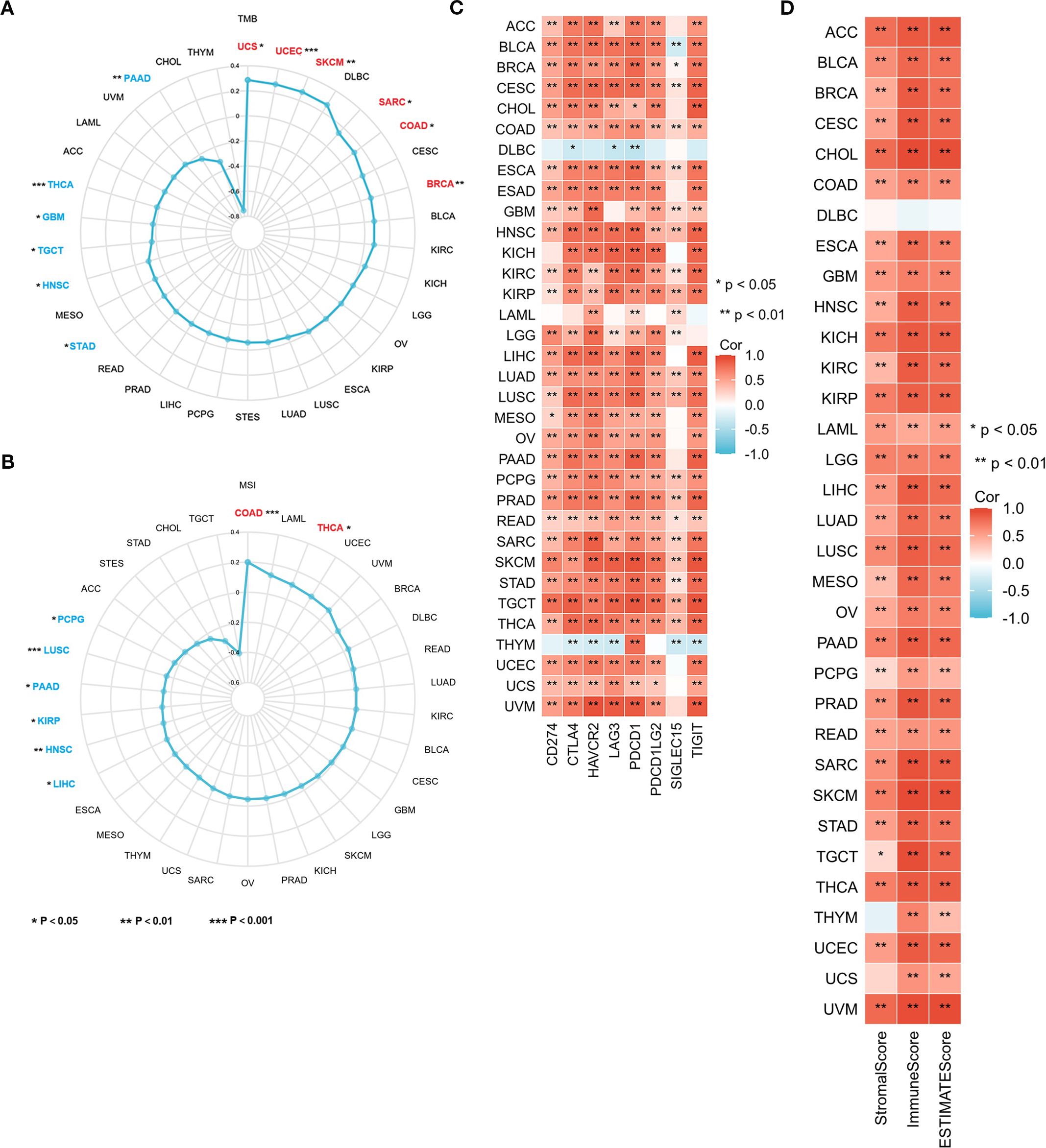 Four-panel image with radar charts and heatmaps depicting correlations between cancer types and various metrics. Panels A and B show radar charts with TMB and MSI metrics for different cancers, highlighting significant values in blue and red. Panels C and D display heatmaps of correlation values, with color intensity representing correlation strength between cancer types and specific markers or scores, using a red-blue color gradient for range visualization. Significant correlations are marked with asterisks based on p-values.