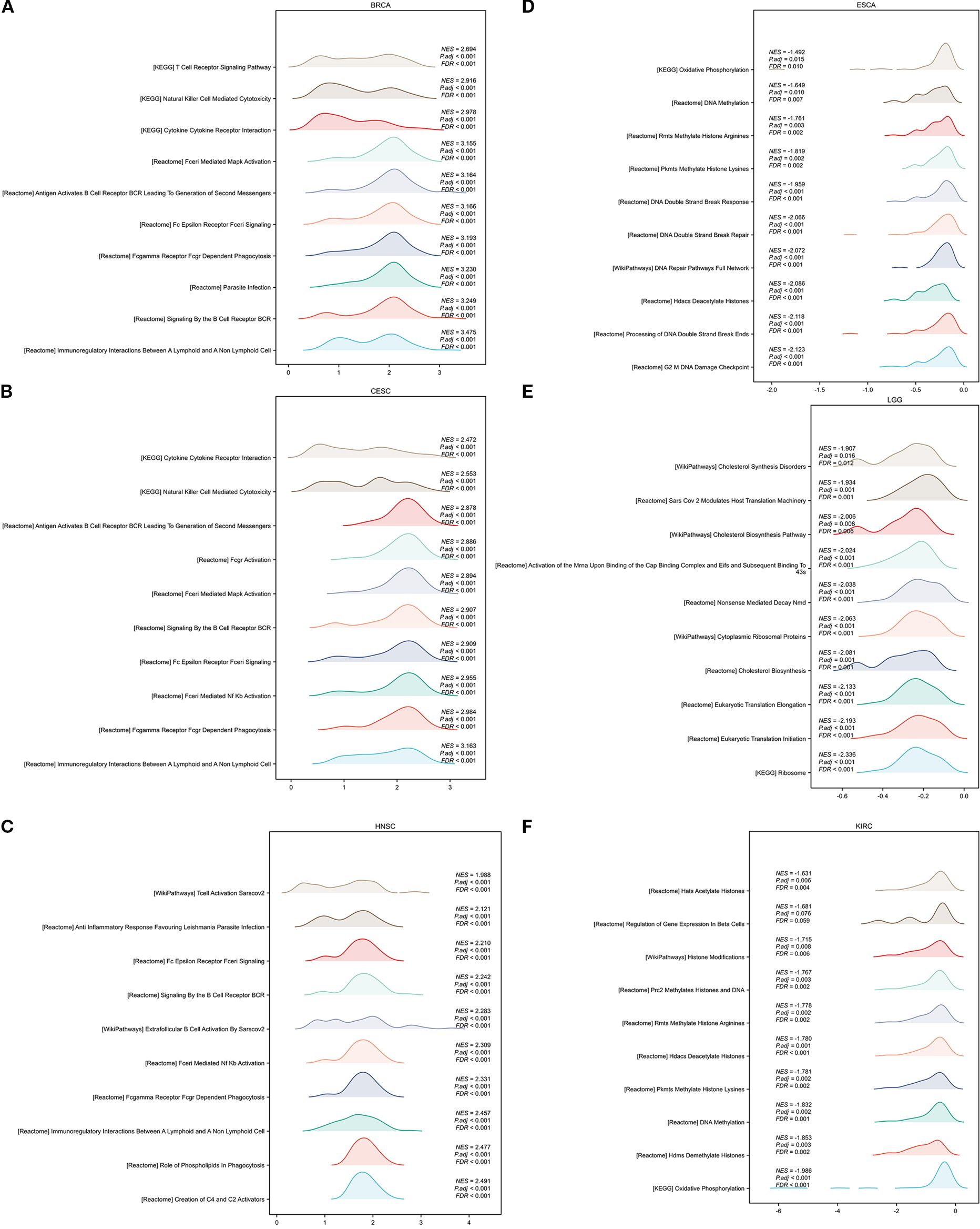 Six ridge plots illustrate pathway activity across different cancer types: BRCA (A), CESC (B), HNSC (C), ESCA (D), LGG (E), and KIRC (F). Each plot shows pathways like T-Cell Receptor Signaling, Cytokine Receptor Interaction, Oxidative Phosphorylation, and Histone Methylation. Axes display pathway name, NES, and p-values, highlighting variations in pathway activities among cancers.