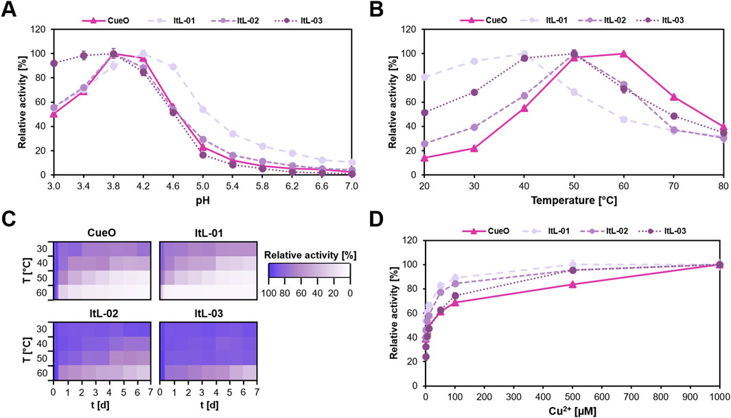Composite image with four panels: (A) Line graphs showing the relative activity of CueO, ItL-01, ItL-02, and ItL-03 across different pH levels. (B) Line graphs illustrating relative activity of the same enzymes at varying temperatures. (C) Heat maps showing relative activity over time and temperature. (D) Line graphs depicting relative activity across different Cu2+ concentrations.