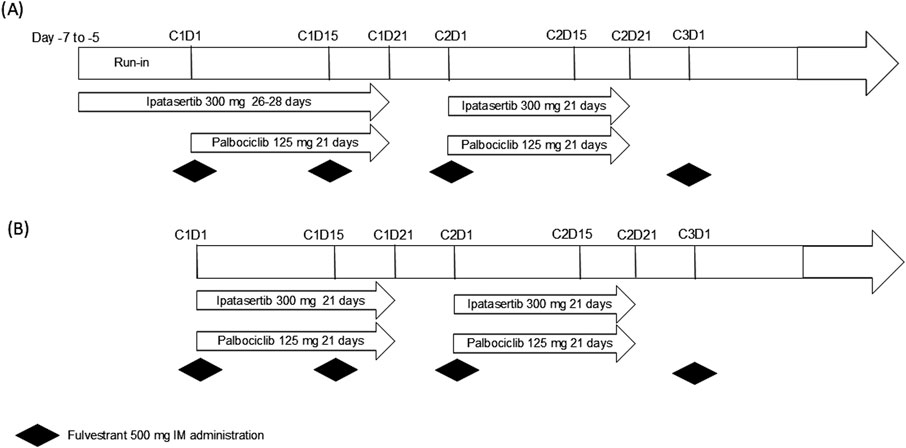 Graphical representation of study drugs administration is presented. (A) involves an initial run-in period for 5 to 7 days when ipatasertib 300 mg once daily was administered alone. Starting on Cycle 1 Day 1, patients started taking palbociclib 125 mg and continued ipatasertib daily for 21 days of each 28-day cycle. Fulvestrant 500 mg IM injections were given on Days 1 and 15 of the first cycle, and then once per cycle thereafter. The additional 10 patients in (B) started all three study drugs on Cycle 1 Day 1.