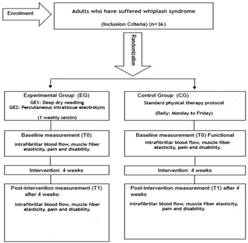 Flowchart outlining a study on adults with whiplash syndrome. Participants are randomized into an experimental group and a control group. The experimental group receives deep dry needling or percutaneous intratissue electrolysis weekly, while the control group follows a standard physical therapy protocol daily. Baseline measurements (T0) include intrafibrillar blood flow, muscle fiber elasticity, pain, and disability for both groups. After four weeks of intervention, post-intervention measurements (T1) are taken, assessing the same parameters.