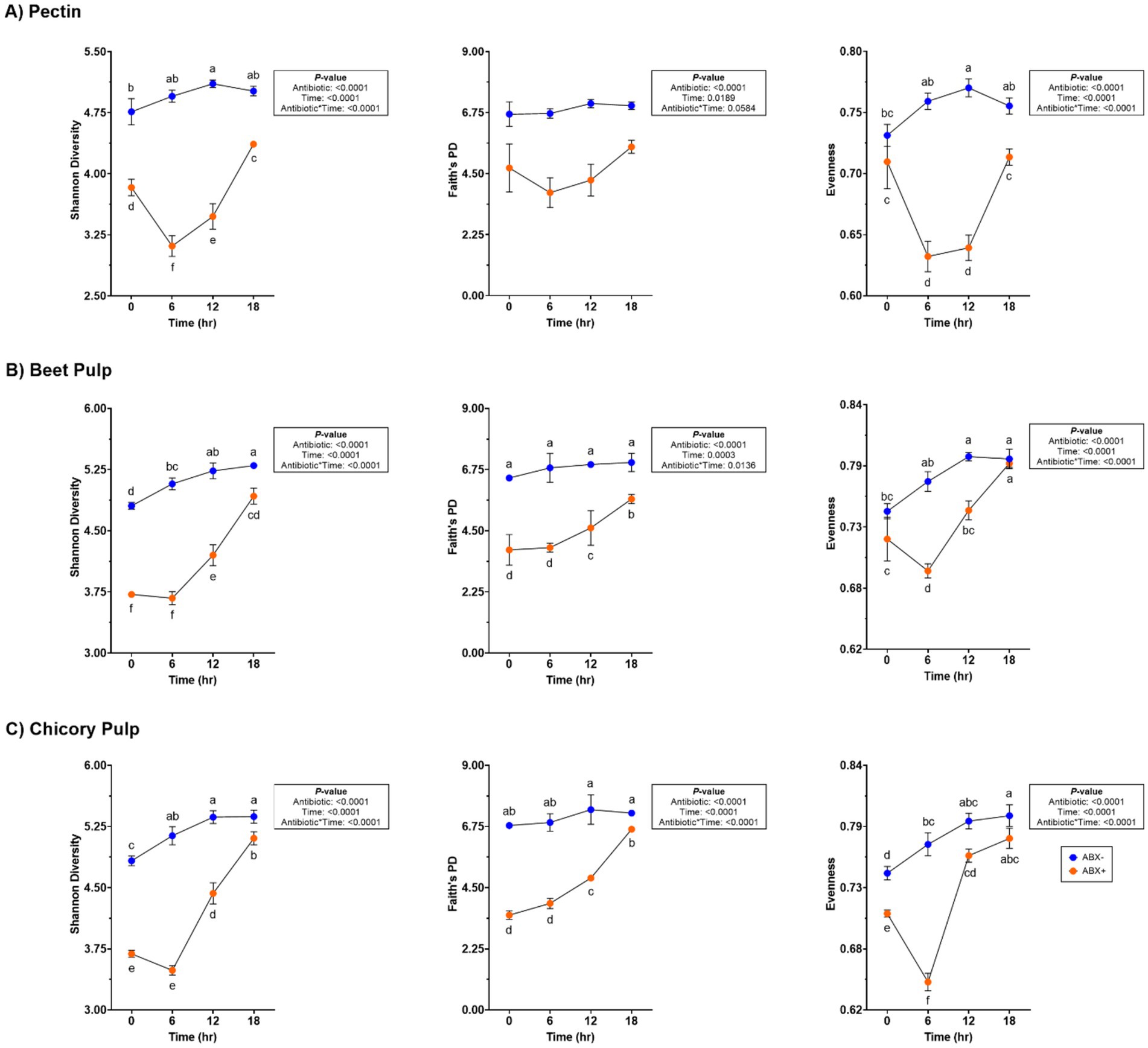 Nine line graphs showing diversity indices over time for pectin, beet pulp, and chicory pulp treatments. Each row represents one fiber's response with three graphs: Shannon Diversity, Faith's PD, and Evenness. Blue lines depict pre-antibiotic collected inoculum, while orange lines represent post-antibiotic collected inoculum. All show statistical significance interactions between antibiotics and time. Error bars indicate variability.