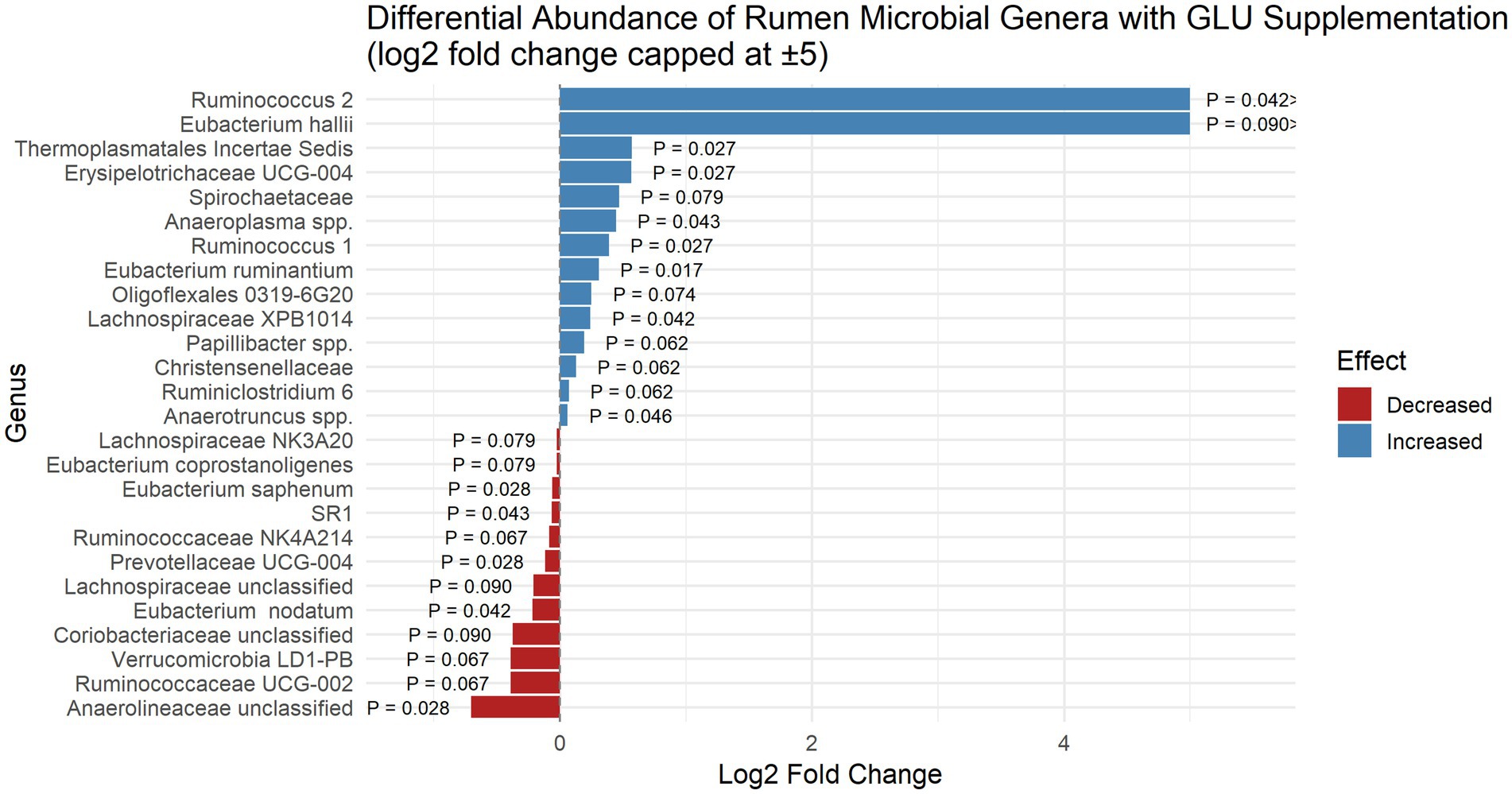 Bar chart showing the differential abundance of rumen microbial genera with GLU supplementation, indicating log2 fold changes capped at plus or minus five. Blue bars represent increased genera, while red bars denote decreased genera. Prominent increases include Ruminococcus 2 and Eubacterium hallii, while notable decreases involve Anaerolineaceae unclassified and Ruminococcaceae UCG-002. Effect significance is marked with p-values next to each bar.
