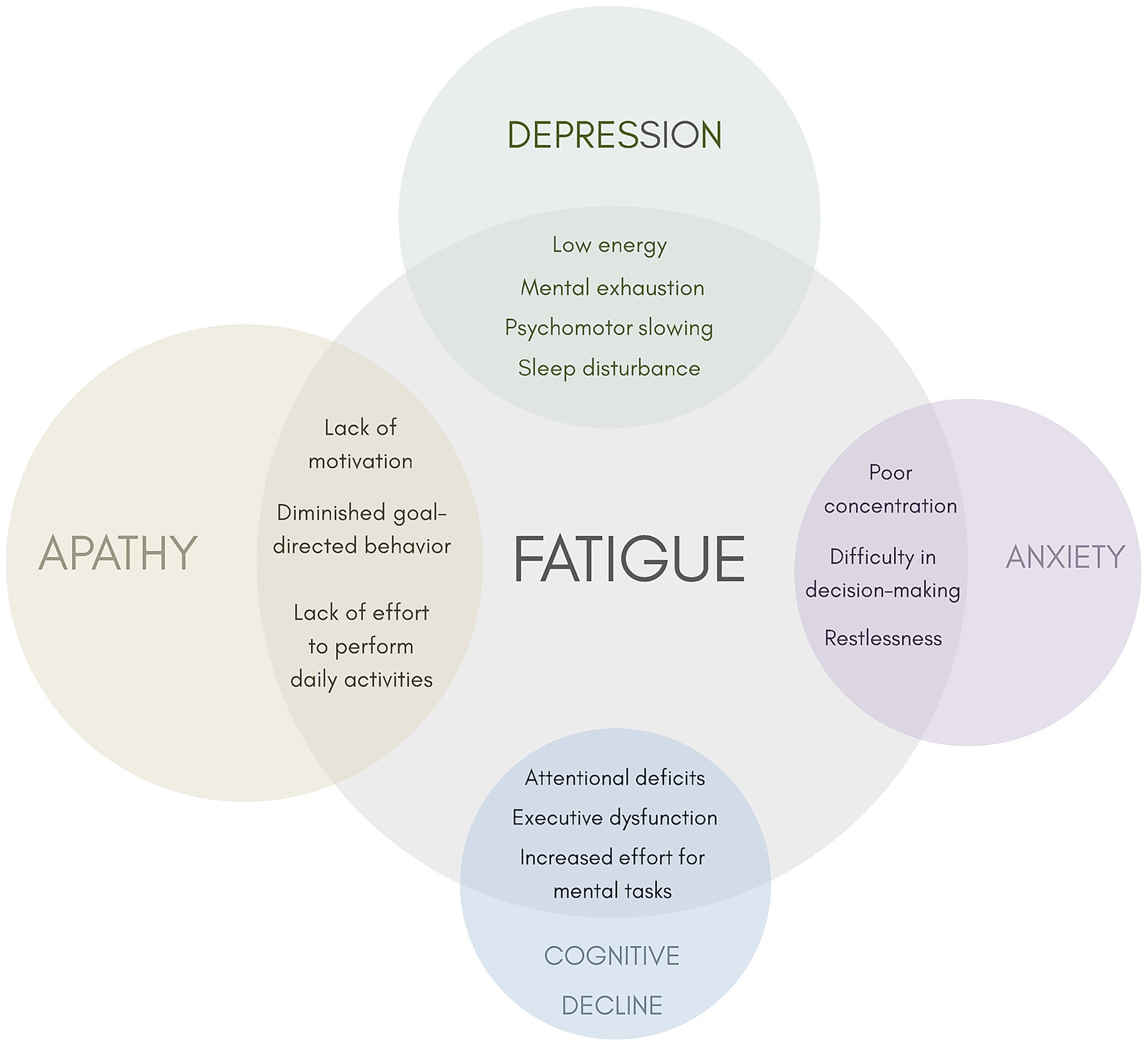 Venn diagram showing the relationship between fatigue and four overlapping conditions: depression, anxiety, apathy, and cognitive decline. Fatigue includes factors like low energy and mental exhaustion (depression), poor concentration (anxiety), lack of motivation (apathy), and attentional deficits (cognitive decline).