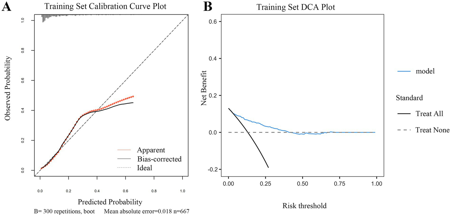 Panel A shows a training set calibration curve plot with observed probability on the y-axis and predicted probability on the x-axis. The plot includes lines for apparent, bias-corrected, and ideal probabilities. Panel B displays a training set Decision Curve Analysis (DCA) plot with net benefit on the y-axis and risk threshold on the x-axis, showing lines for model, treat all, and treat none strategies.
