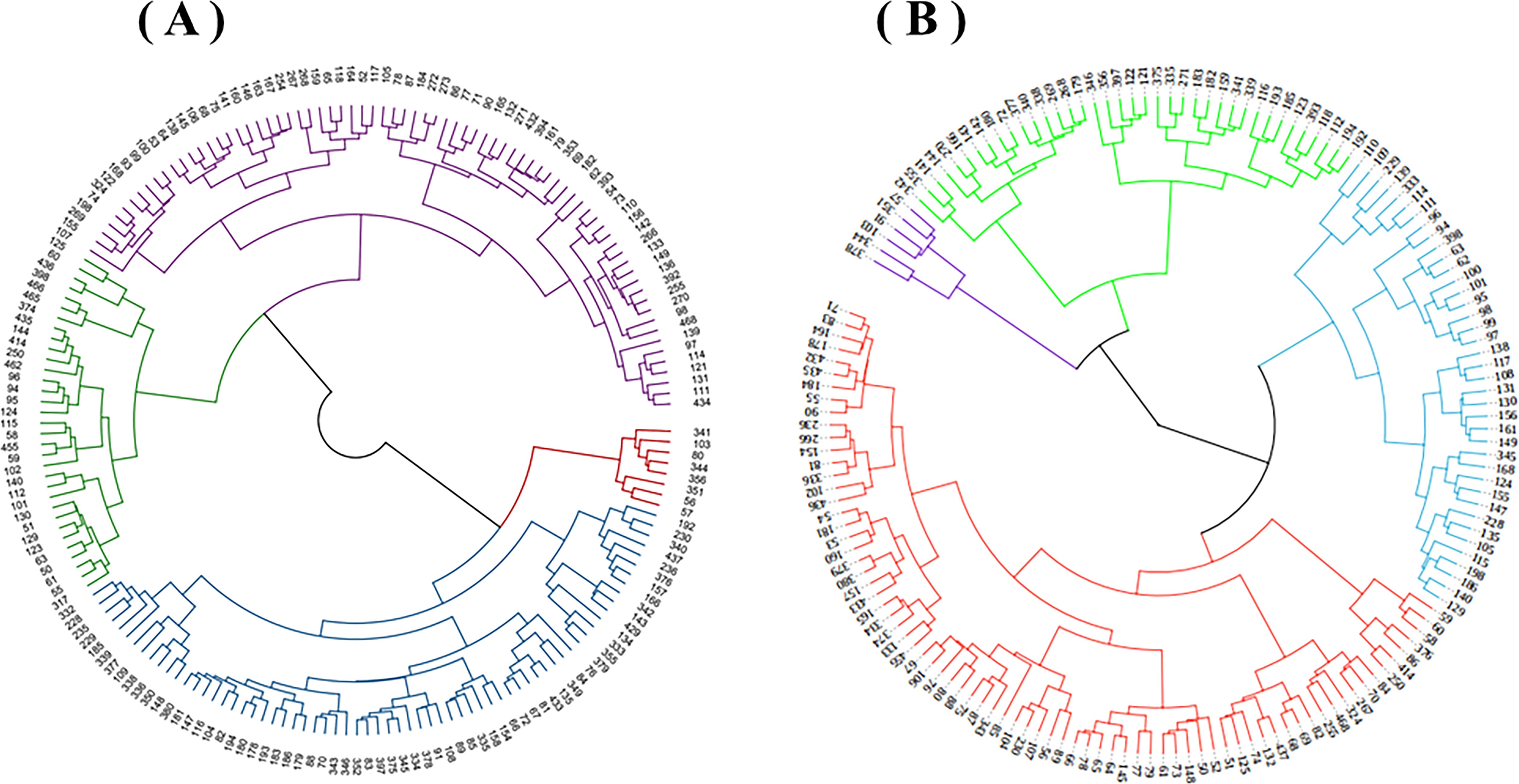Two phylogenetic trees labeled A and B, each showing hierarchical relationships among numbered entities. Tree A is color-coded with sections in purple, green, and blue. Tree B features sections in red, green, and blue. Both trees have radial layouts with branches connecting different groups.