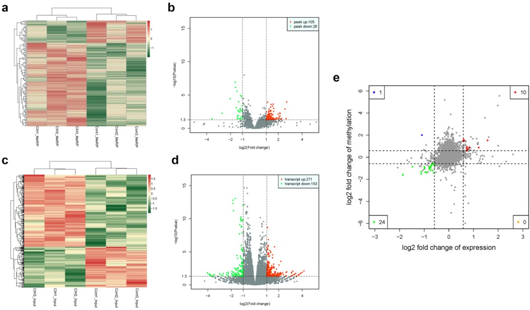 Panel of data visualizations displaying gene expression and methylation analysis:\n\na. Heatmap showing clustering of gene expression levels with columns labeled by sample types.\n\nb. Volcano plot depicting fold change against p-values, highlighting significant peaks with colored dots.\n\nc. Heatmap illustrating clustering of input sample expressions.\n\nd. Volcano plot showing fold change and p-values, marking significant transcript changes.\n\ne. Scatter plot detailing correlation between methylation and gene expression, with colored points indicating specific data values.