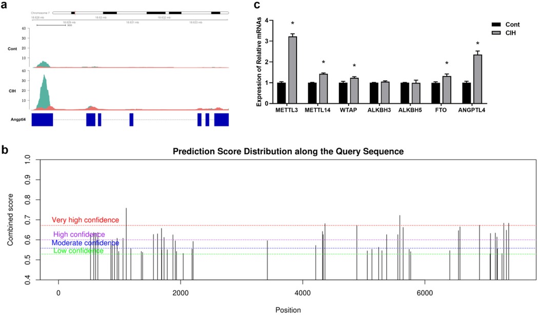 Panel a shows gene expression profiles on chromosome 7, comparing control and CIH conditions with notable peaks at Angptl4. Panel b illustrates prediction scores along a sequence, ranging from low to very high confidence. Panel c depicts a bar graph of relative mRNA expression levels in different genes, with METTL3 and ANGPTL4 showing significant increases under CIH conditions.