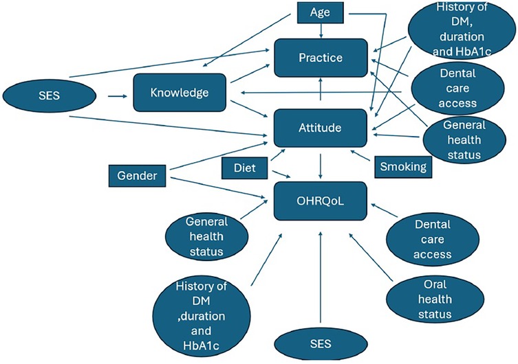 Conceptual diagram illustrating the interrelationships between sociodemographic, behavioral, and health-related factors influencing oral health-related quality of life (OHRQoL). Arrows show directional associations among variables including socioeconomic status (SES), gender, age, knowledge, practice, attitude, diet, smoking, general health status, oral health status, dental care access, and diabetes history (DM, duration, HbA1c).