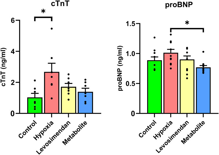 Bar graphs compare cTnT and proBNP levels across four conditions: Control, Hypoxia, Levosimendan, and Metabolite. Hypoxia shows a significant increase in both cTnT and proBNP levels, indicated by asterisks and error bars. Data points are plotted on each bar.