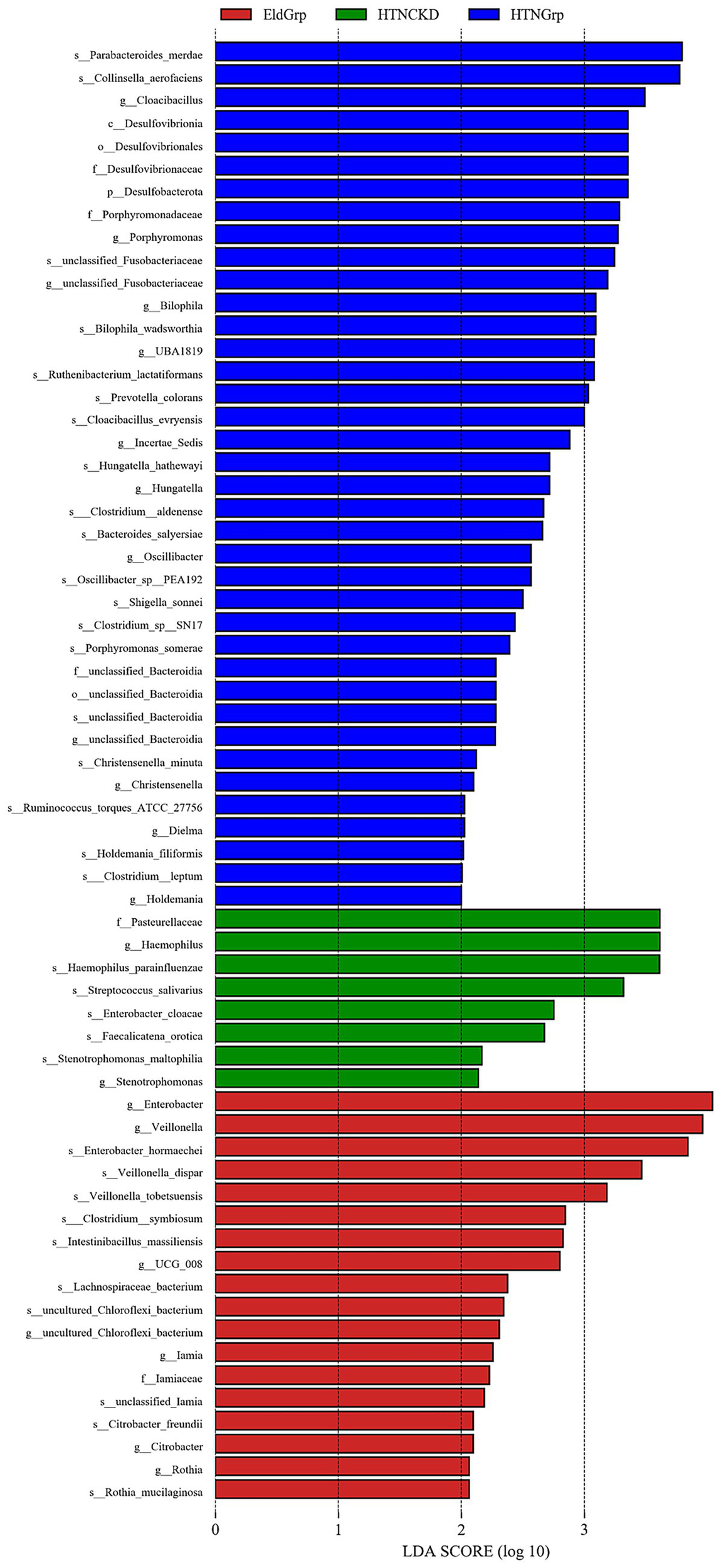 Bar chart depicting LDA scores for various microbial taxa, categorized into three groups: EldGrp (red), HTNCKD (green), and HTNGrp (blue). The chart shows taxa names on the left and LDA scores on the right, with scores ranging from zero to three. HTNGrp has the highest frequency with numerous taxa, while EldGrp and HTNCKD have fewer taxa represented.