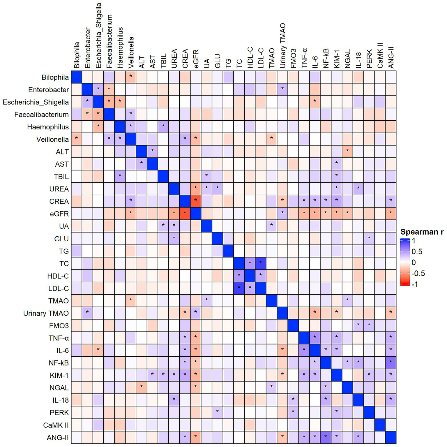 A heatmap displaying Spearman correlation coefficients between different variables, represented by both row and column labels such as Bilophila, Enterobacter, and various biomarkers. The color scale indicates correlation strength, from 1 (blue) to -1 (red), with lighter shades for weaker correlations. Stars indicate significant correlations.
