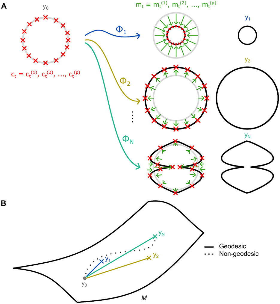Diagram illustrating a flowchart with geometric shapes. Part A shows a sequence of transformations starting with a red circle and arrows labeled as \(\Phi_1\), \(\Phi_2\), and \(\Phi_N\), leading to various shapes. Red Xs and green arrows indicate movement or transformation. Part B displays a curved surface \(M\) with vectors labeled \(y_0\), \(y_1\), \(y_2\), and \(y_N\), showing geodesic and non-geodesic paths.