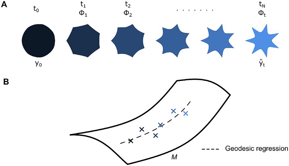 A series of progressively deformed shapes labeled from \( y_0 \) to \(\hat{y}_t \) at various \(t \) values are shown in panel A. Shapes transition from a solid circle to star-like forms. Panel B depicts a curved surface \(M \) with scattered data points and a dashed line indicating geodesic regression.