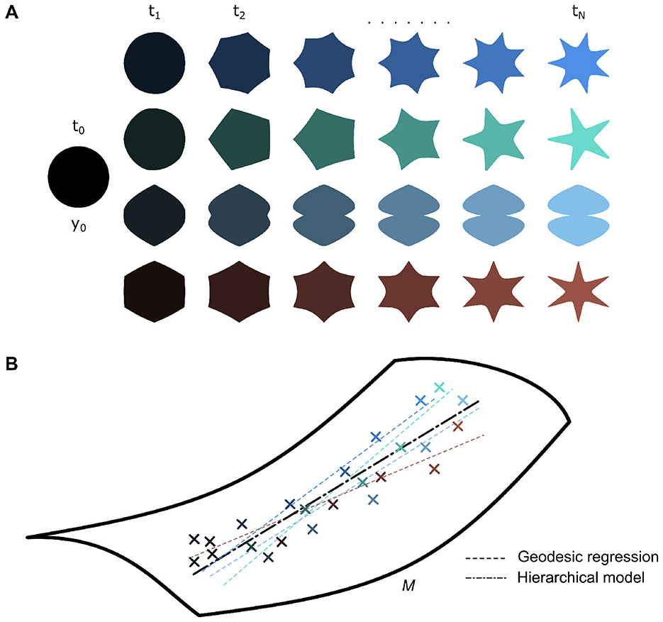 Diagram illustrating shape and color transformations and a geometric model. Panel A depicts a series of shapes, transitioning from circles to stars, in rows with varying colors labeled from \(t_0\) to \(t_N\). Panel B shows a curved plane labeled \(M\) with colored crosses representing data points. Two lines marked as geodesic regression and hierarchical model illustrate data relationships.
