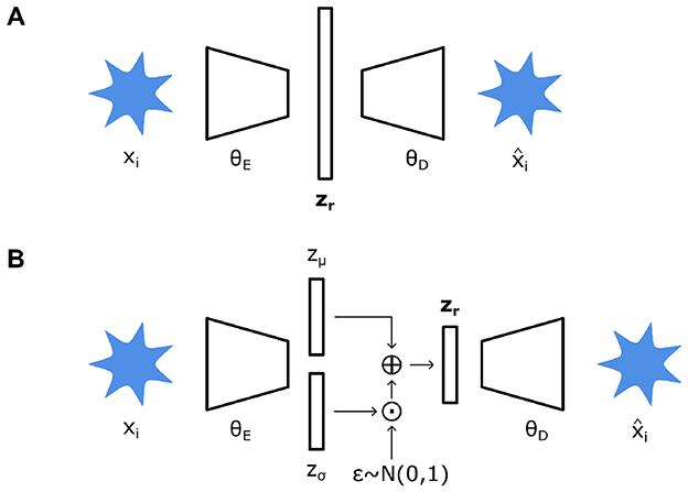 Diagram showing two models (A and B). Model A: xi is encoded into latent space zr using encoder θE, then decoded to xi via decoder θD. Model B: xi is encoded to zμ and zσ using θE; combined with Gaussian noise ε to form zr, which is decoded to xi using θD. Both models feature xi and xi with blue star symbols.
