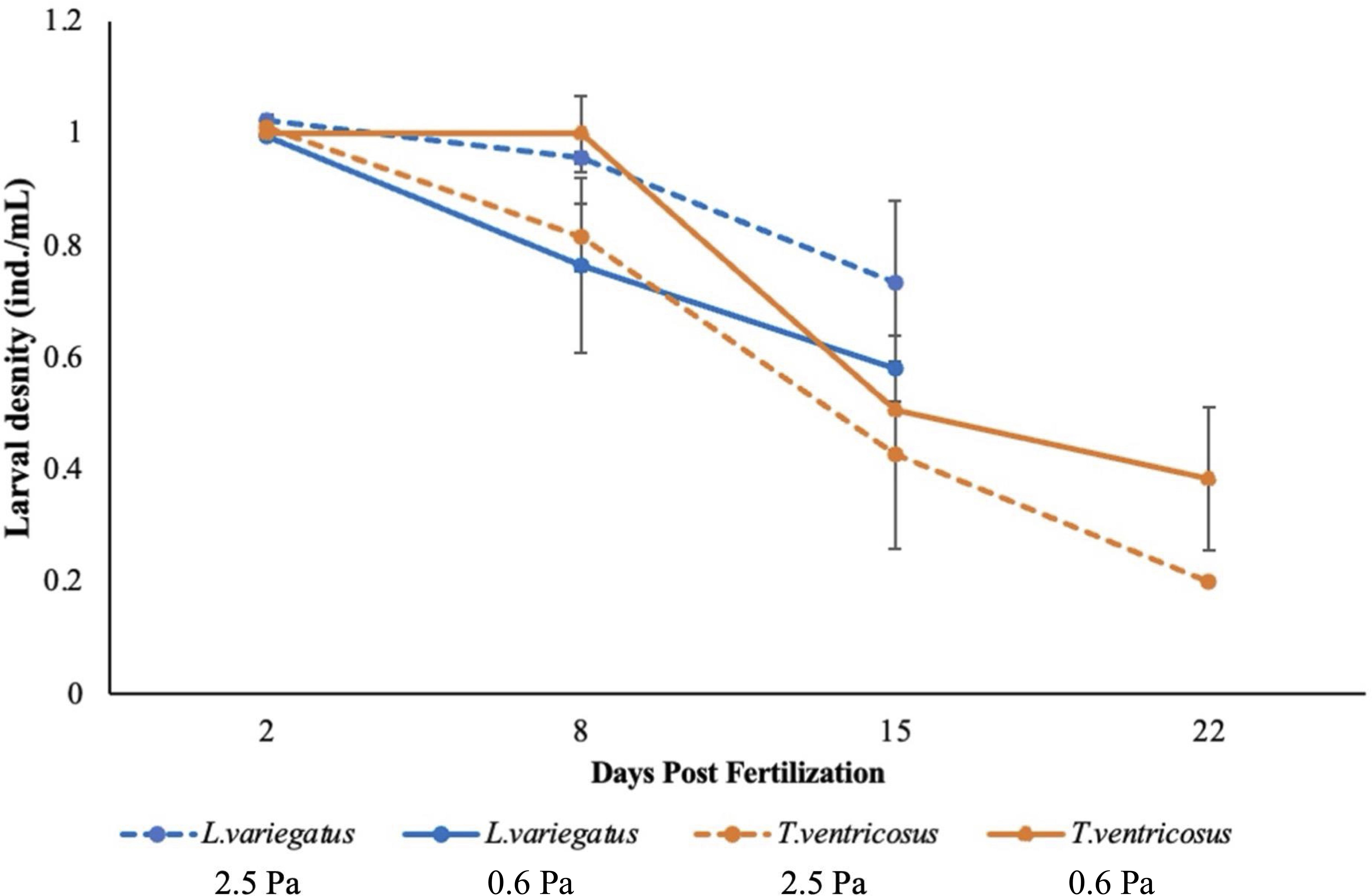 Line graph showing larval density (individuals per milliliter) over days post-fertilization for two species, *L. variegatus* and *T. ventricosus*, under two pressure conditions (0.6 Pa and 2.5 Pa). *L. variegatus* density, depicted in blue, decreases over time, similar to *T. ventricosus* in orange. Error bars indicate variability.