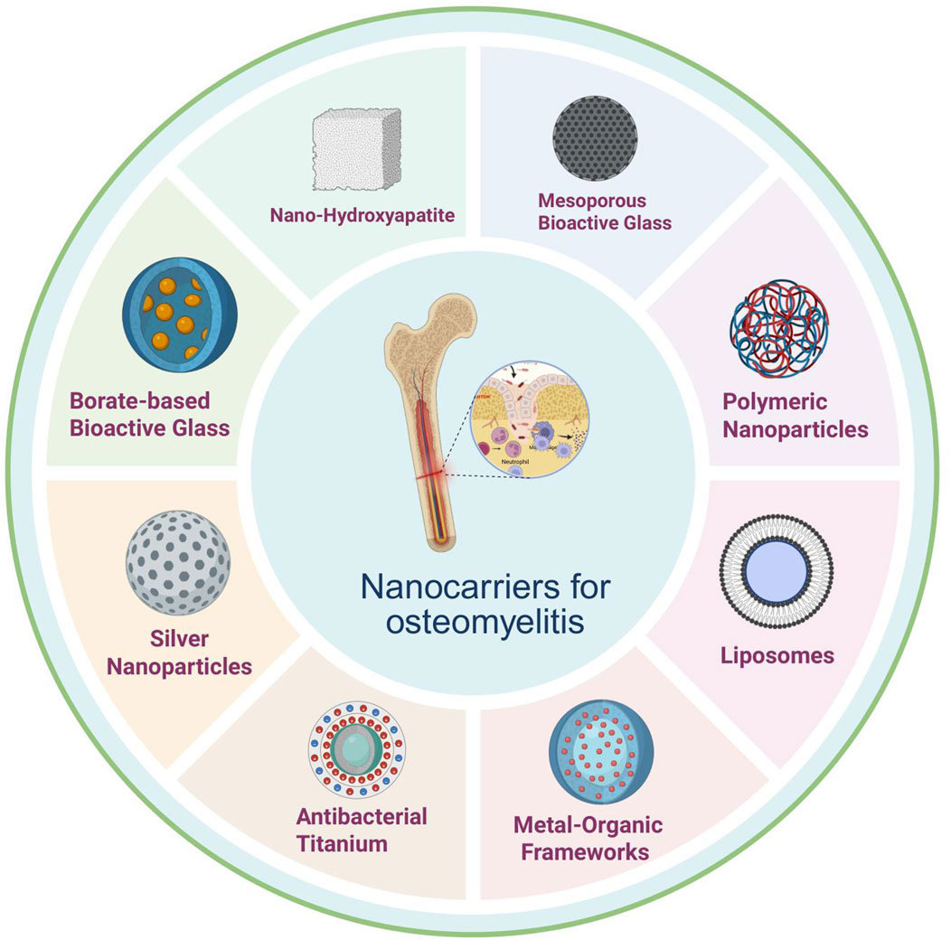 Diagram illustrating various nanocarriers for osteomyelitis treatment, featuring images of nano-hydroxyapatite, mesoporous bioactive glass, polymeric nanoparticles, liposomes, metal-organic frameworks, antibacterial titanium, silver nanoparticles, and borate-based bioactive glass arranged in a circle around a bone graphic.