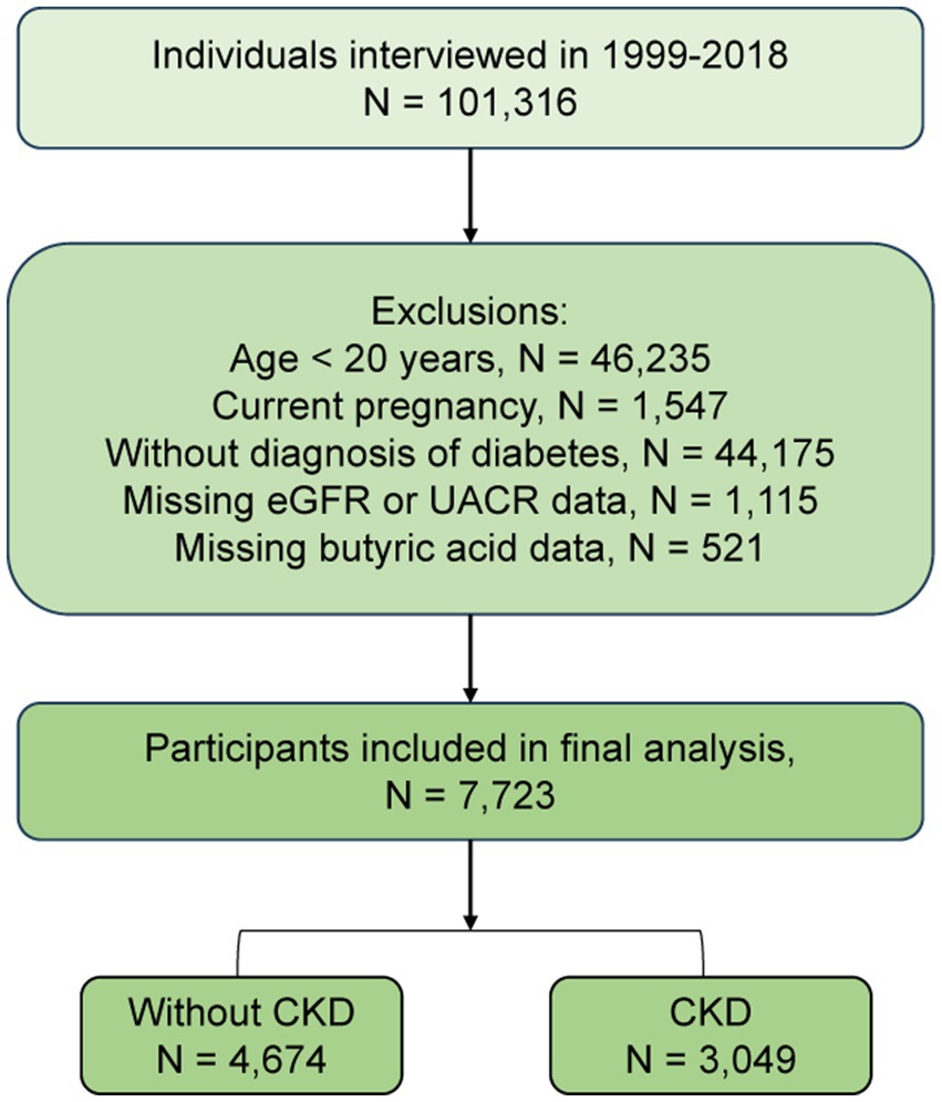 Flowchart detailing participant selection for a study. Initially, 101,316 individuals were interviewed from 1999 to 2018. Exclusions included age under 20 years (46,235), current pregnancy (1,547), no diabetes diagnosis (44,175), missing eGFR or UACR data (1,115), and missing butyric acid data (521). The final analysis included 7,723 participants, with 4,674 without chronic kidney disease (CKD) and 3,049 with CKD.