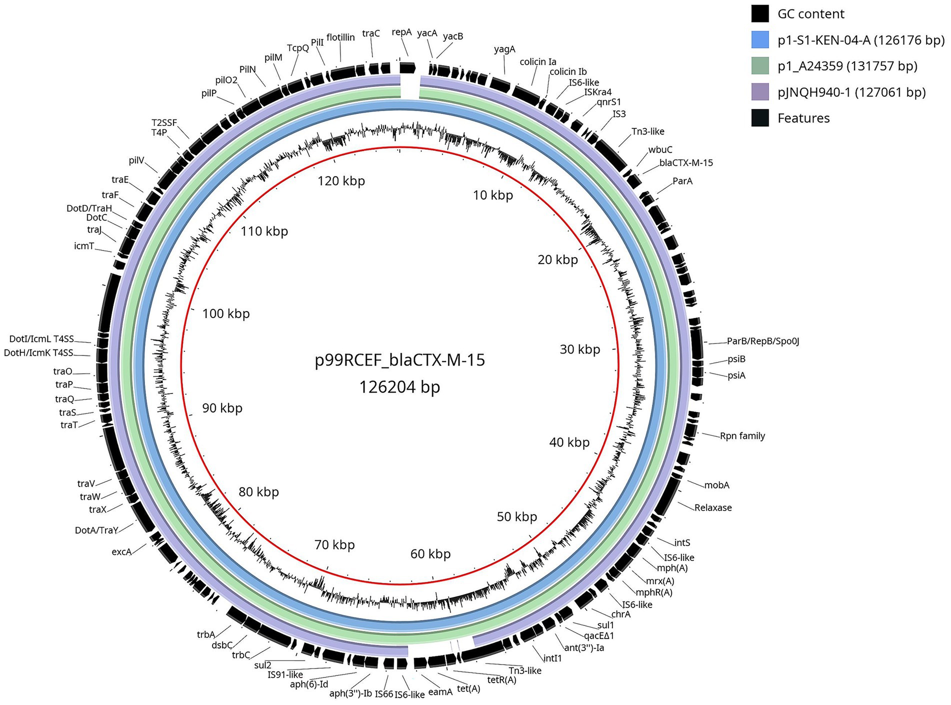 Circular diagram representing the plasmid map of p99RCEF_blaCTX-M-15, sized 126,204 base pairs. Features include GC content, annotated genes, and plasmid elements, visualized in concentric colored rings.