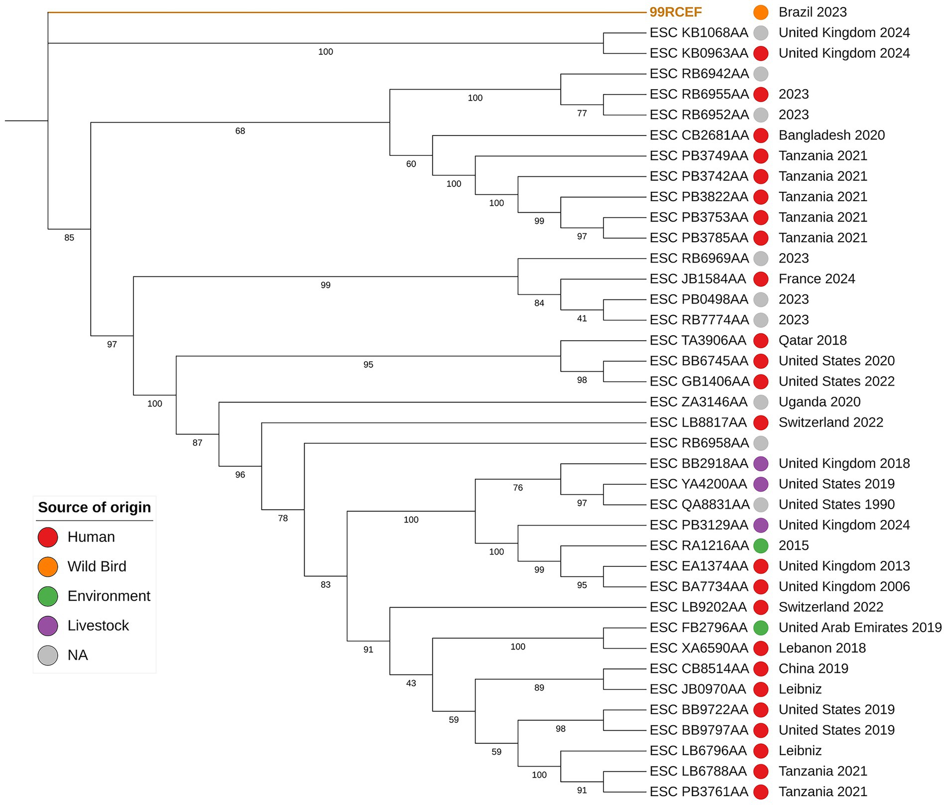 Phylogenetic tree depicting the origins of various samples, categorized by source: human (red), wild bird (orange), environment (green), livestock (purple), and not applicable (gray). The tree displays branching patterns with bootstrap values, showing relationships and geographic origins such as Brazil, United Kingdom, Tanzania, and others, spanning years from 1990 to 2024. Each branch is labeled with specific codes and the corresponding year and country.